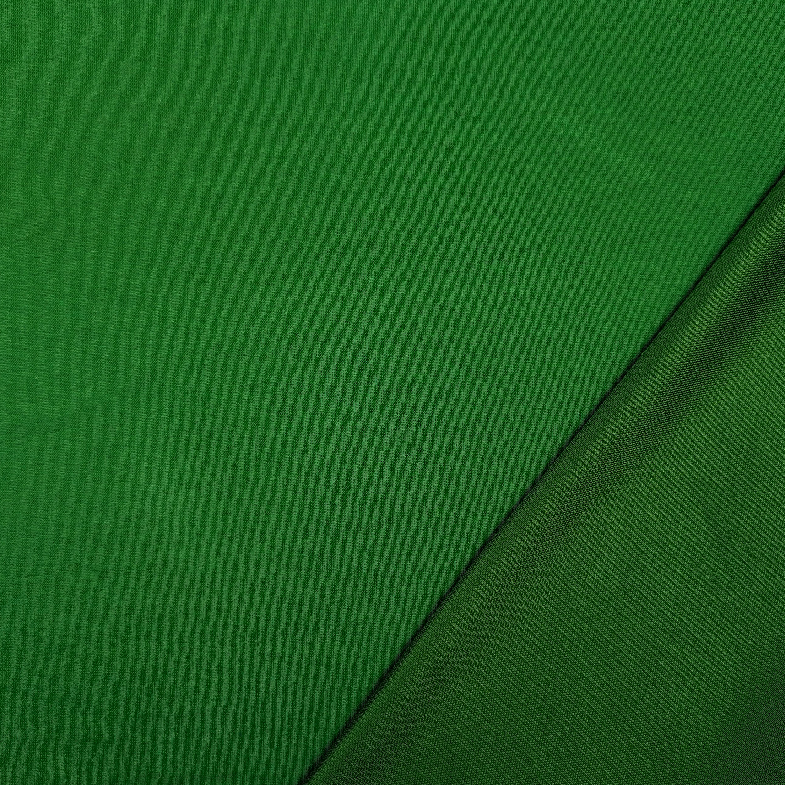 Green Viscose Winter Jersey Image
