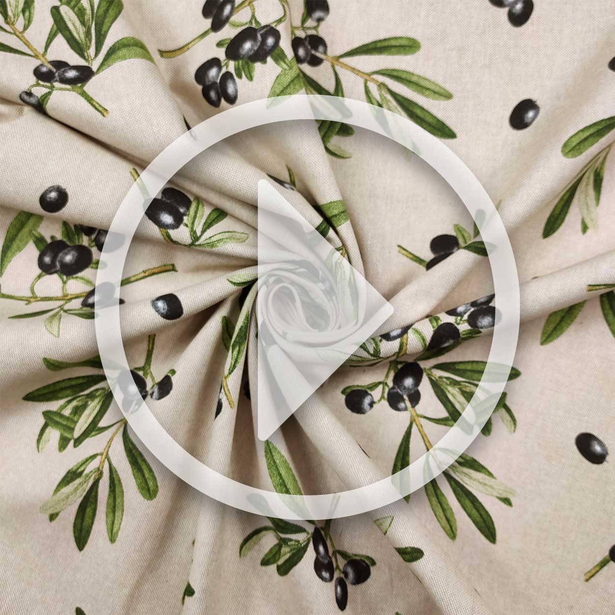 Meubles de Panama avec olives noires Image