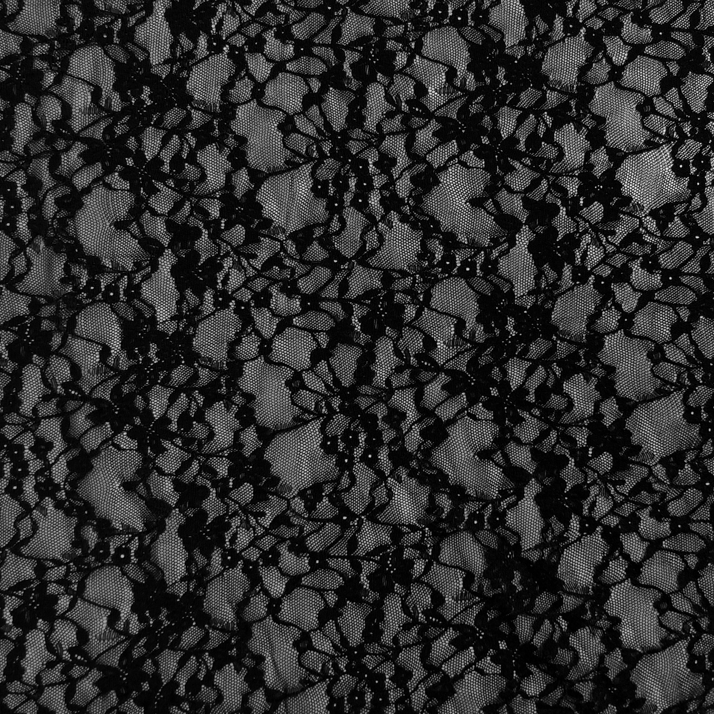 Elastic Floral Lace in Black