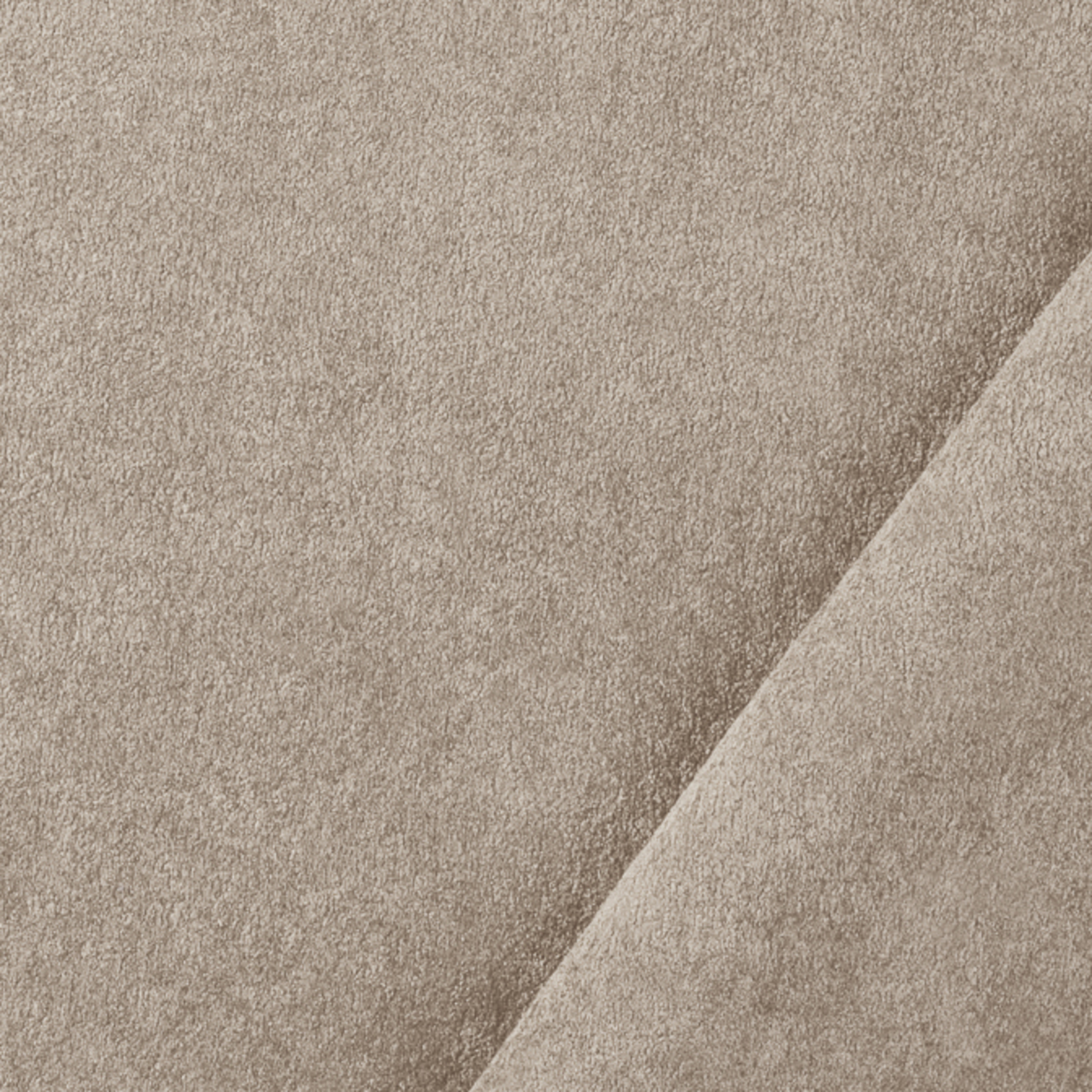 Turtledove - 04