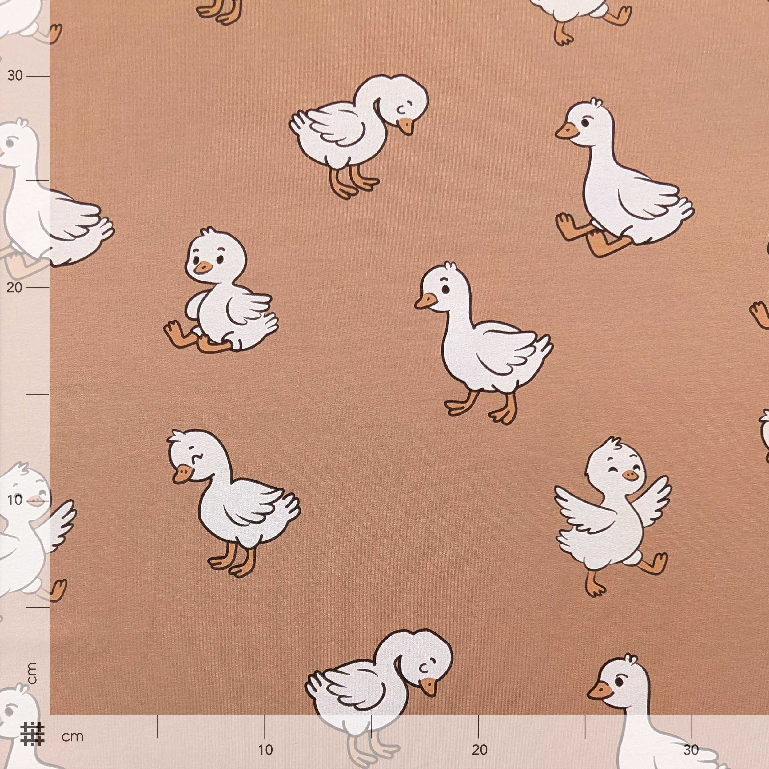 Sweatshirt French Terry Ducks Image