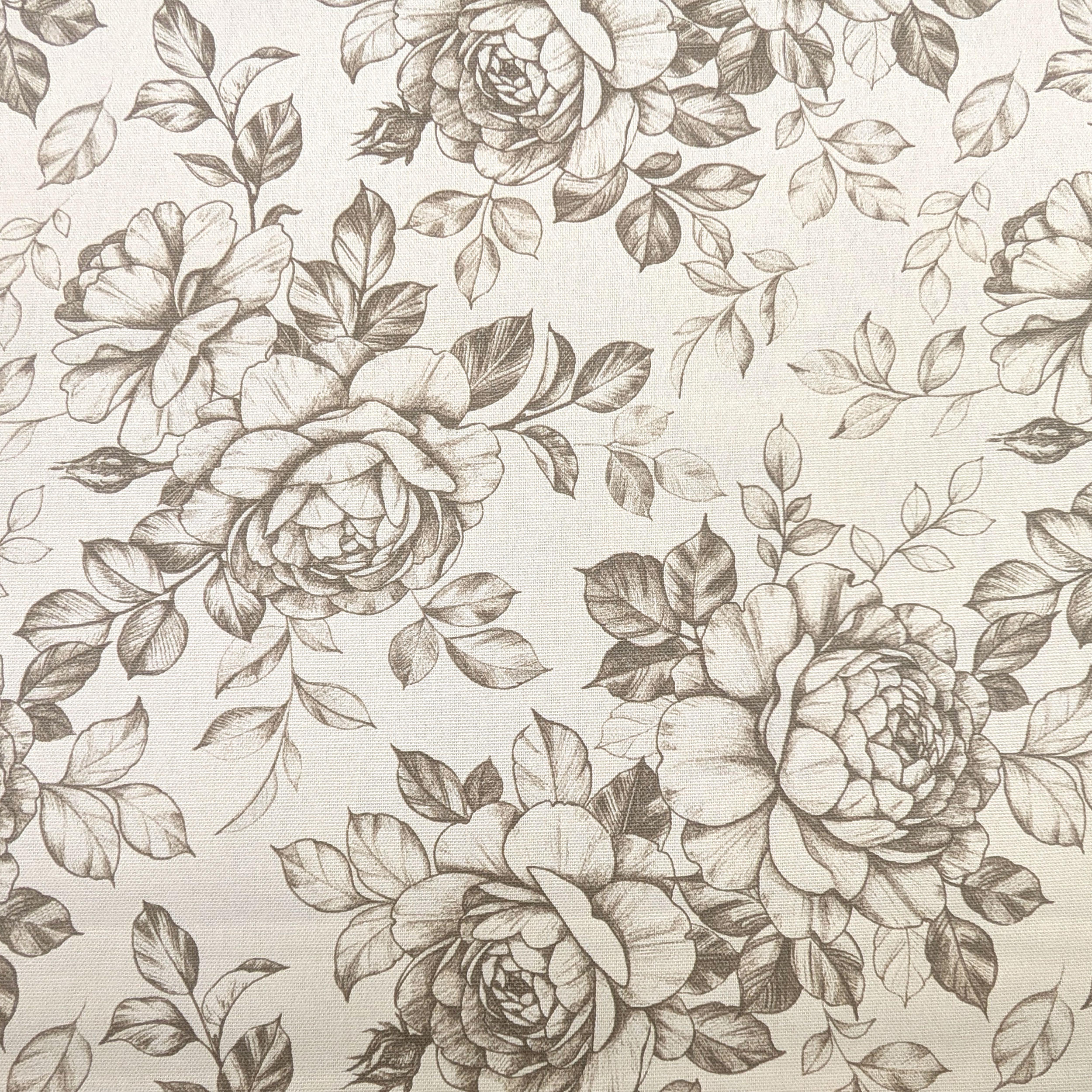 Panama Pure Cotton Floral Turtledove Image