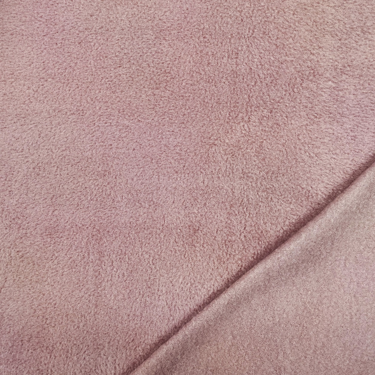Polar Fleece  Image