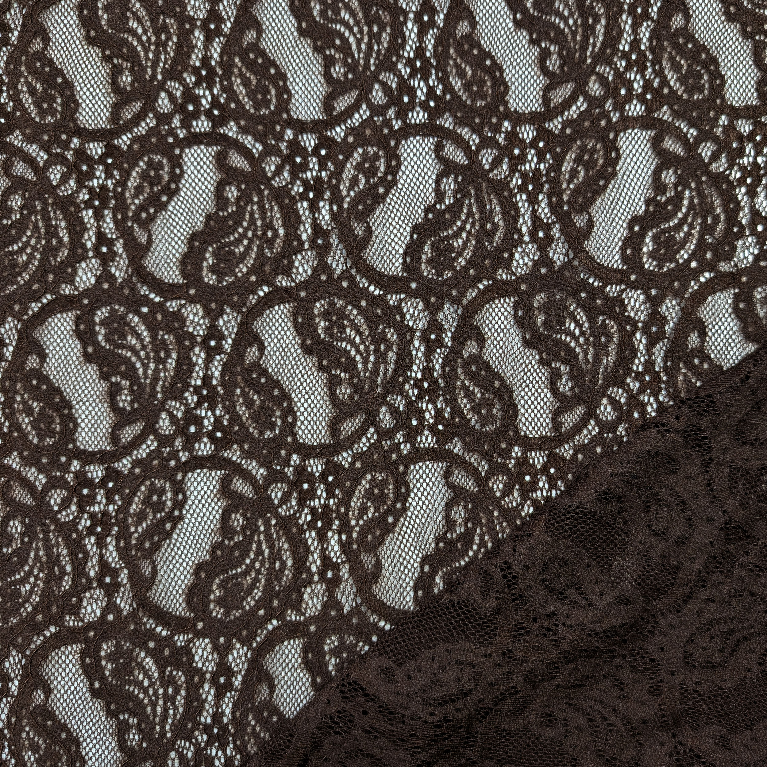 Lace Double Edge Bi-elastic Brown Image