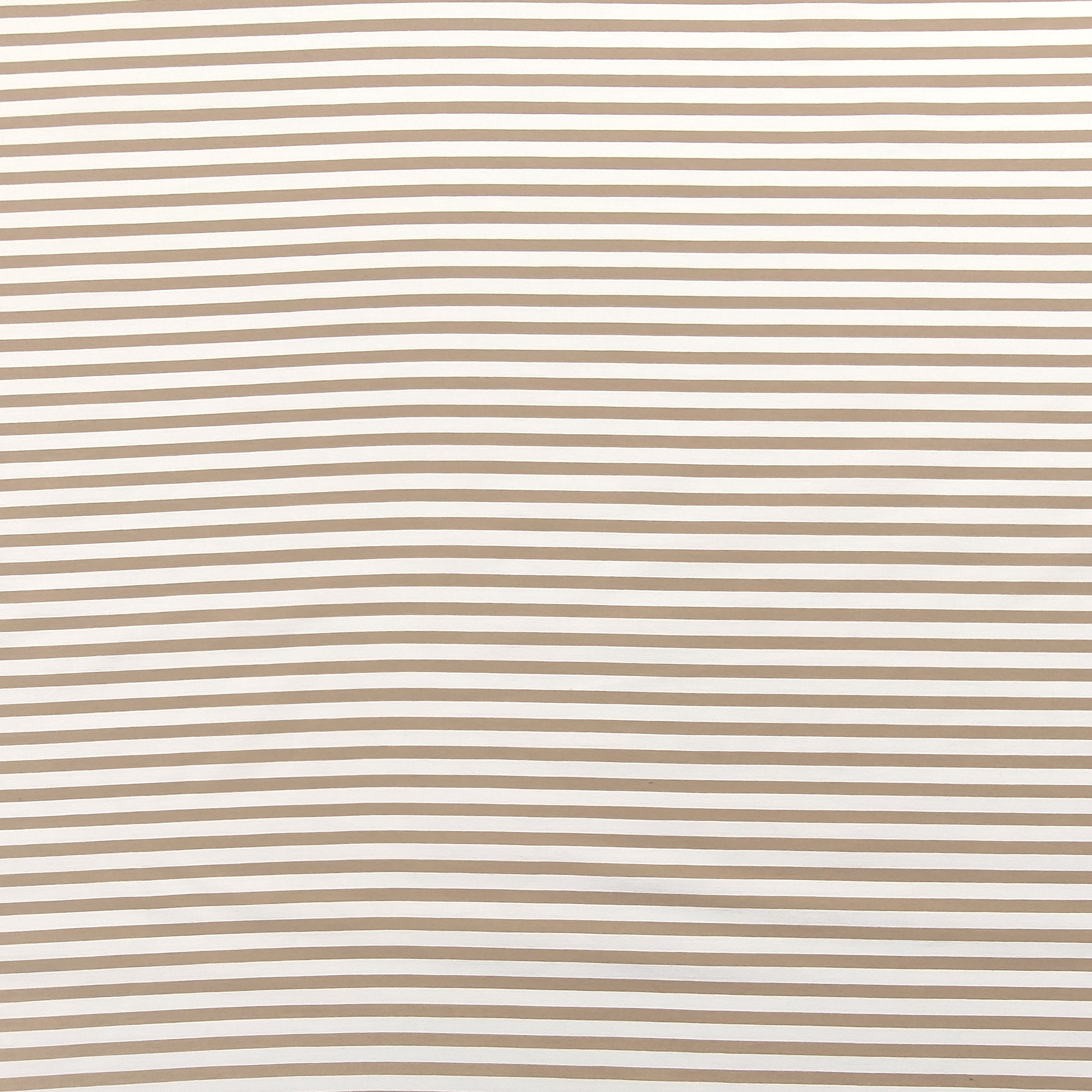 Cotton Fashion Stripe Beige