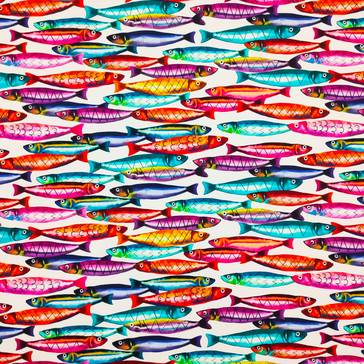 Panama Cotton Sardine Tissu multicolore Image