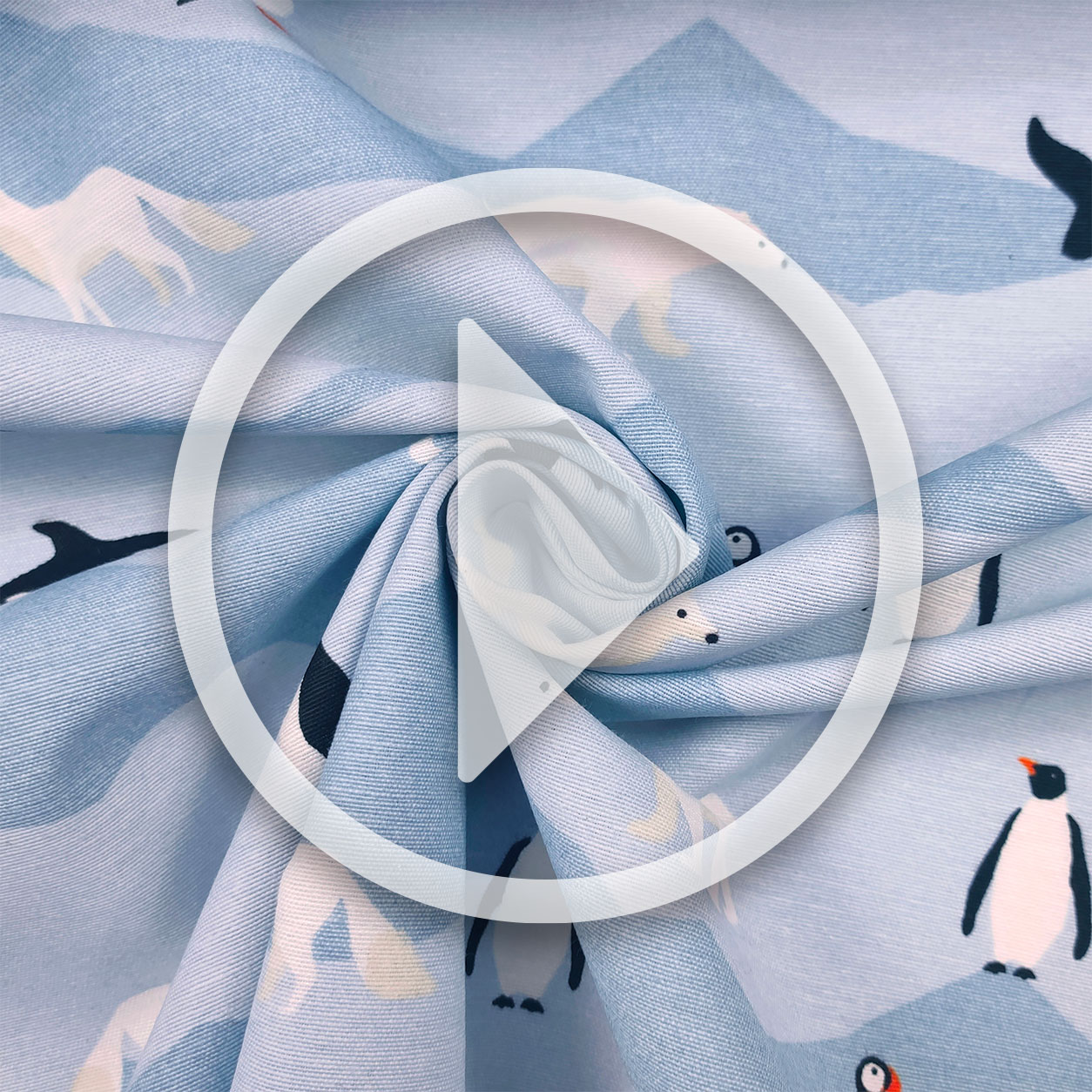 Half Panama - North Pole Animals Image