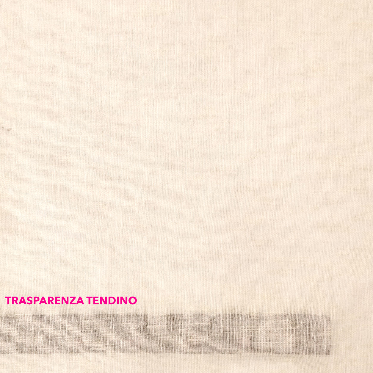 tendino-semitrasparente-per-interni-ajour-ecrù