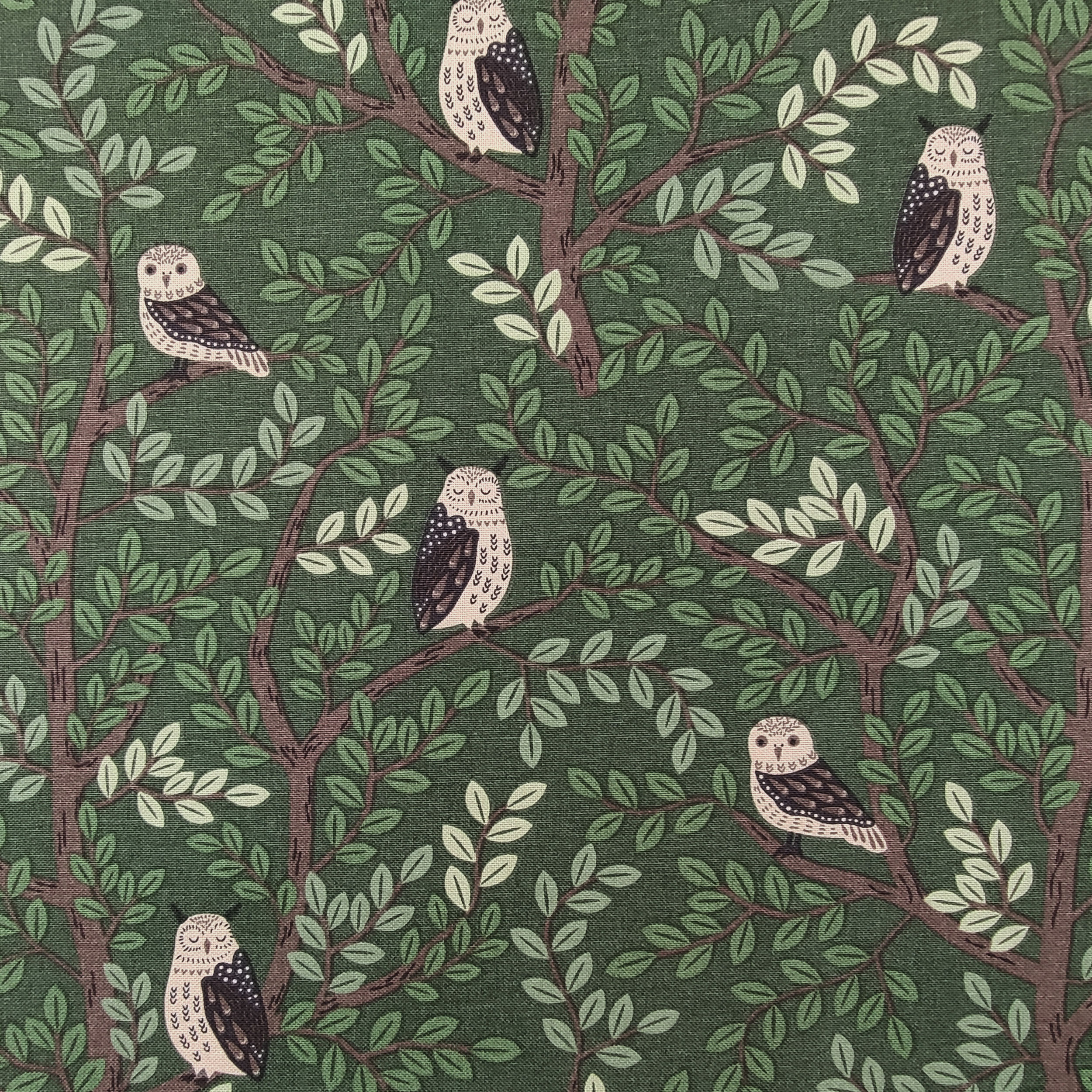 Tissu Panama Motif forêt de hiboux Image