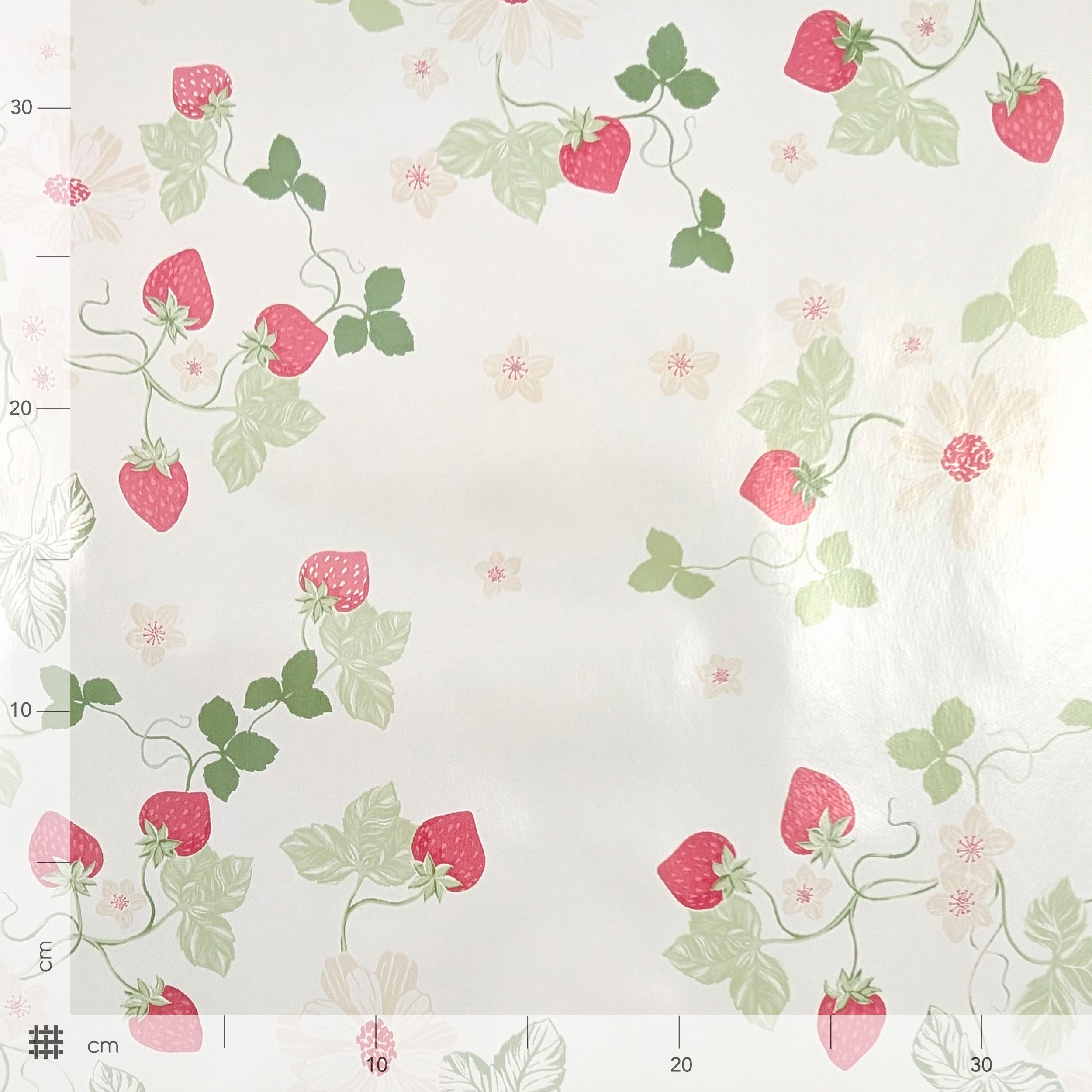 Fabric for Plasticised Tablecloth Strawberries Image