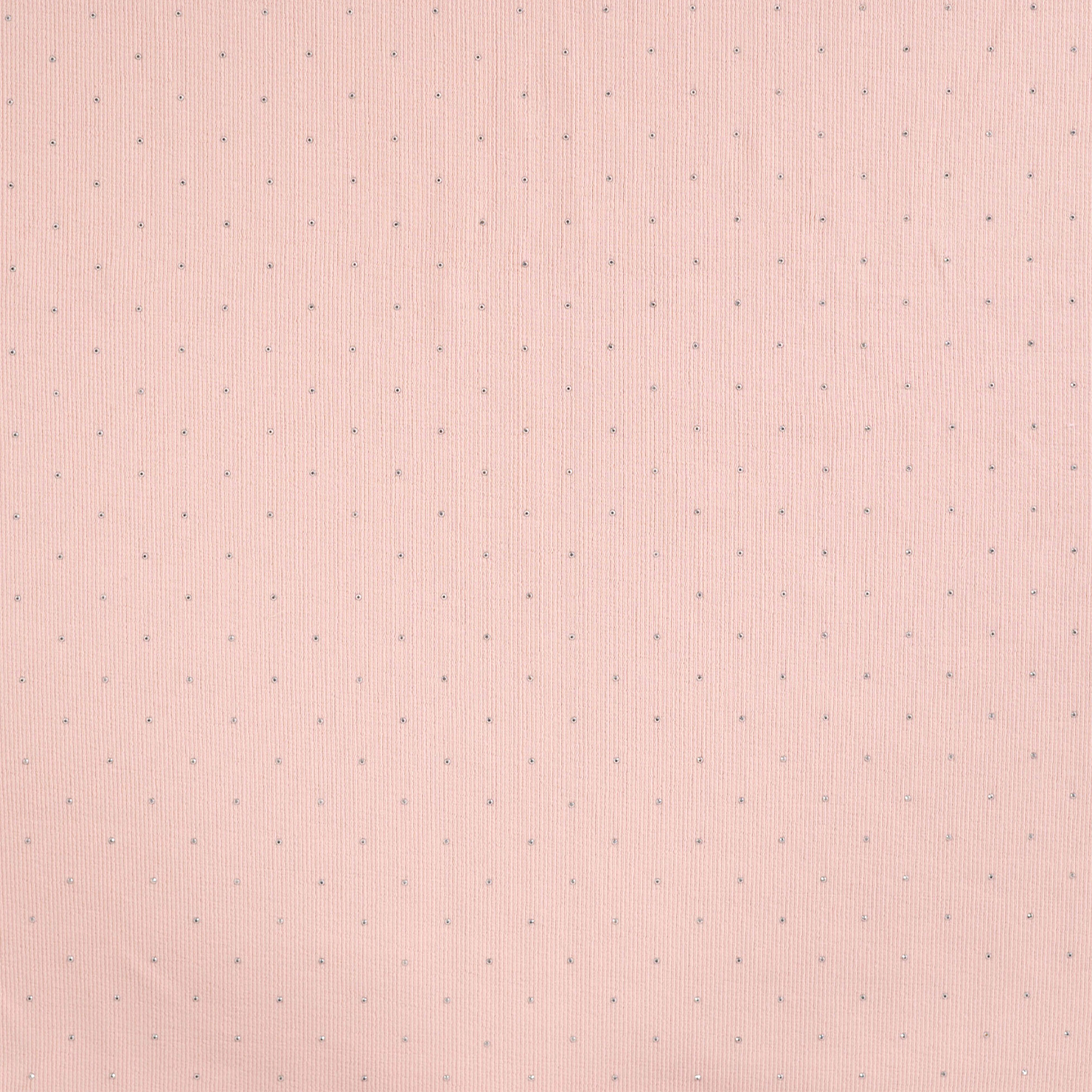 Jersey Cotton Ribbed Jersey Pink Image