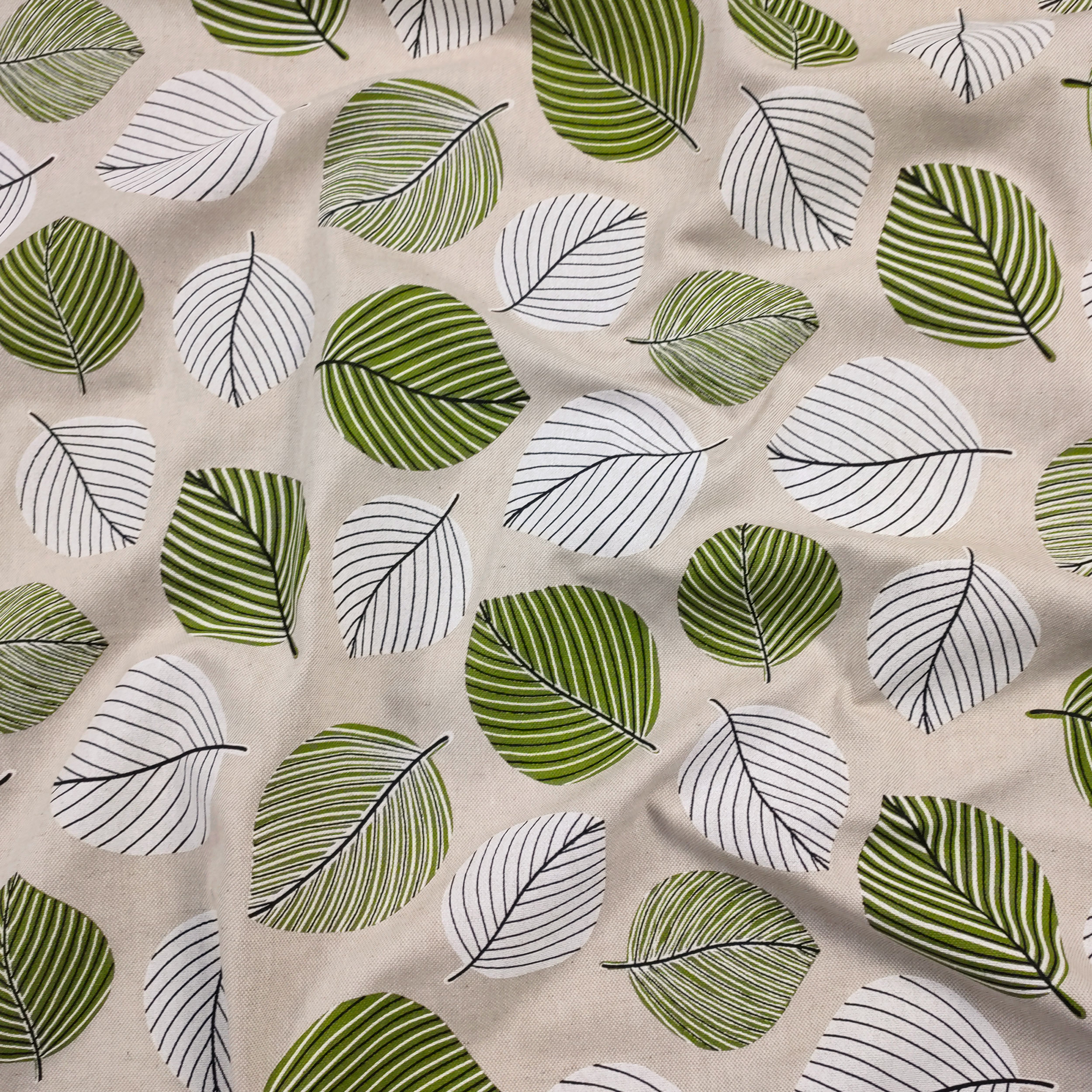 Panama Green and White Leaves
