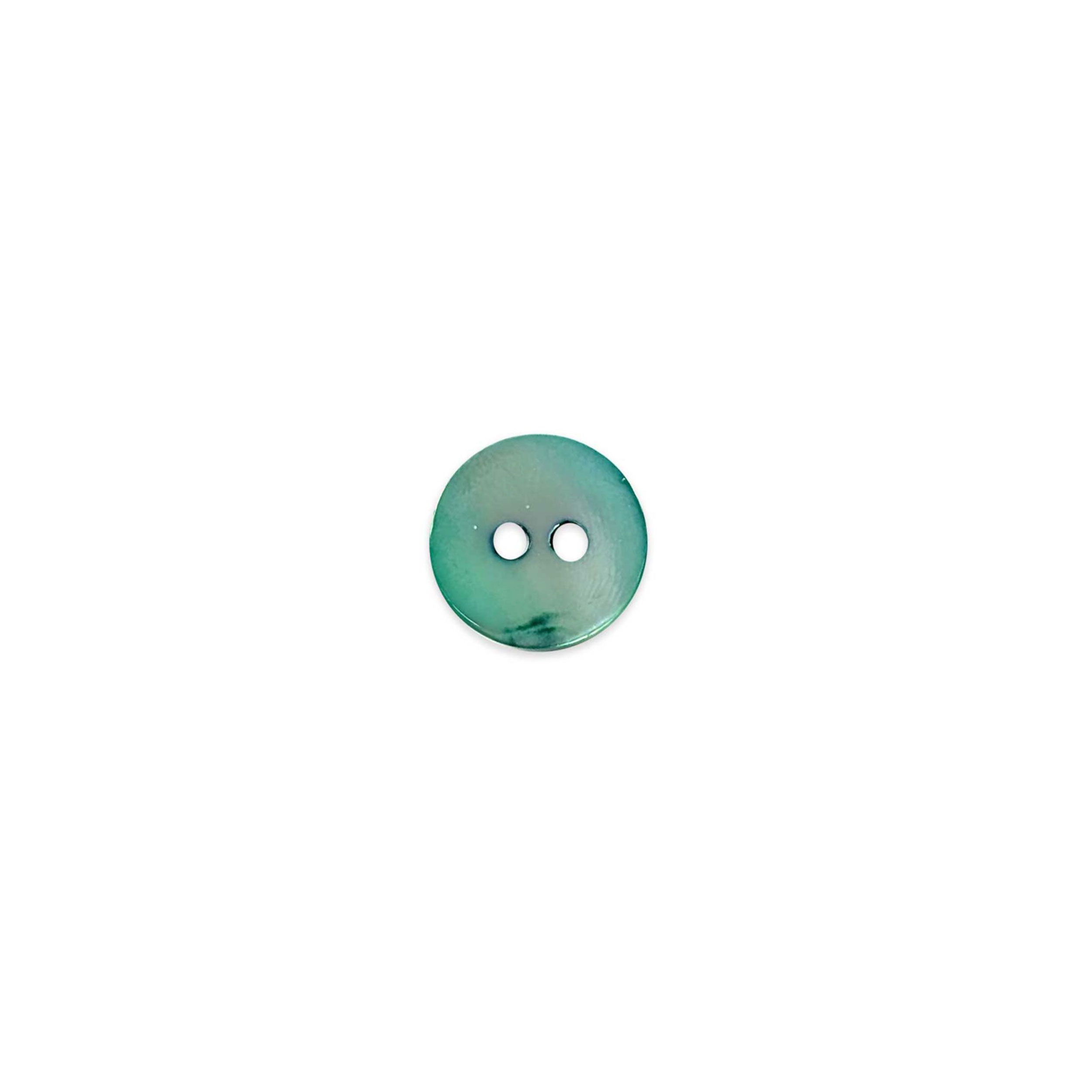 Mother-of-pearl button 2 holes Aquamarine Lin 24 Image