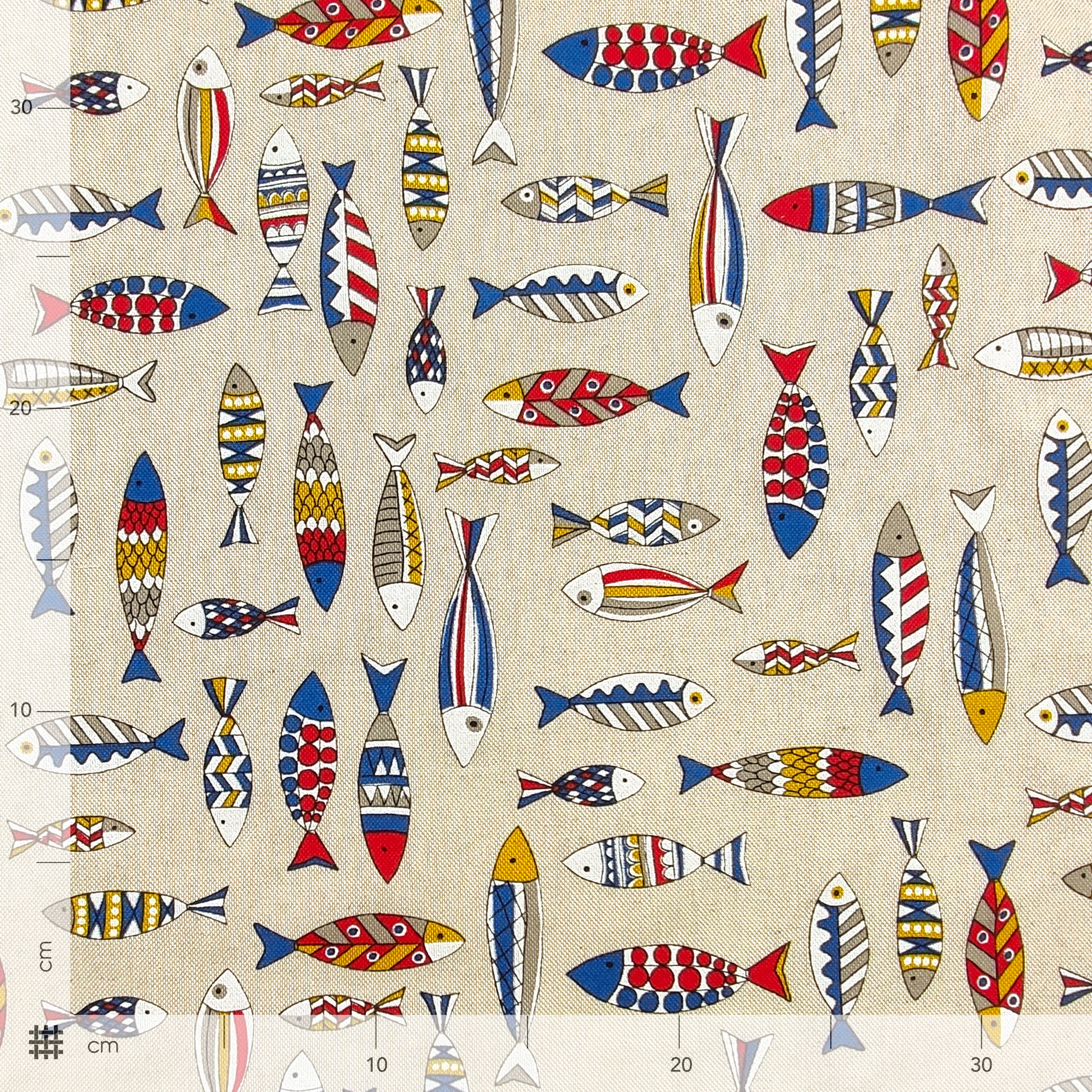 Panama Multicolour Fishes