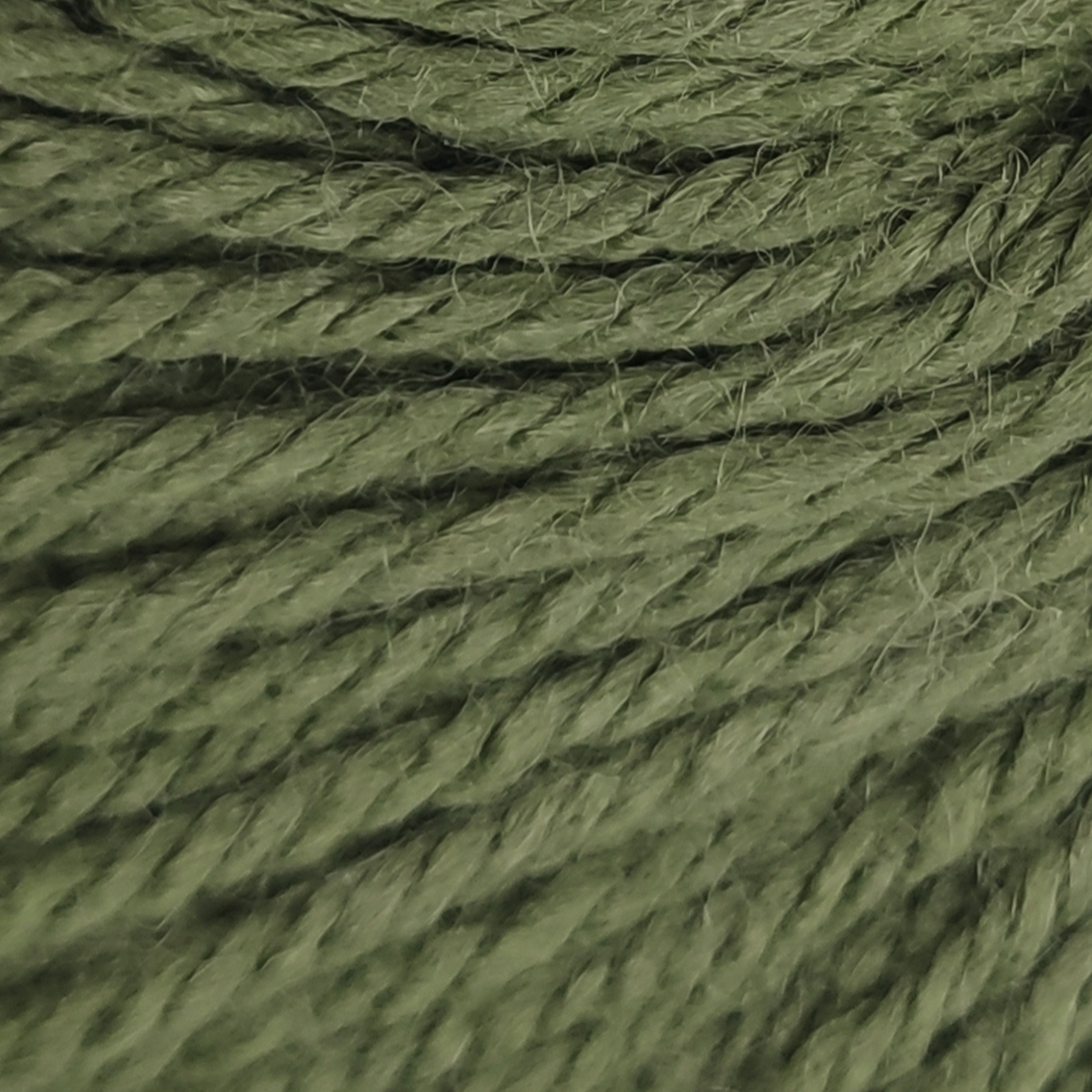 Sage green - 1373