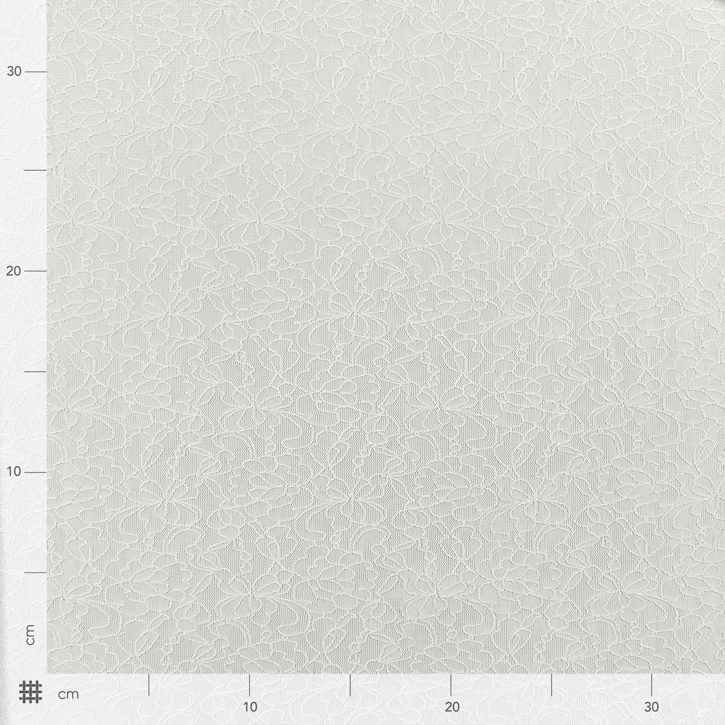 Elastic Lace with Flowers Image