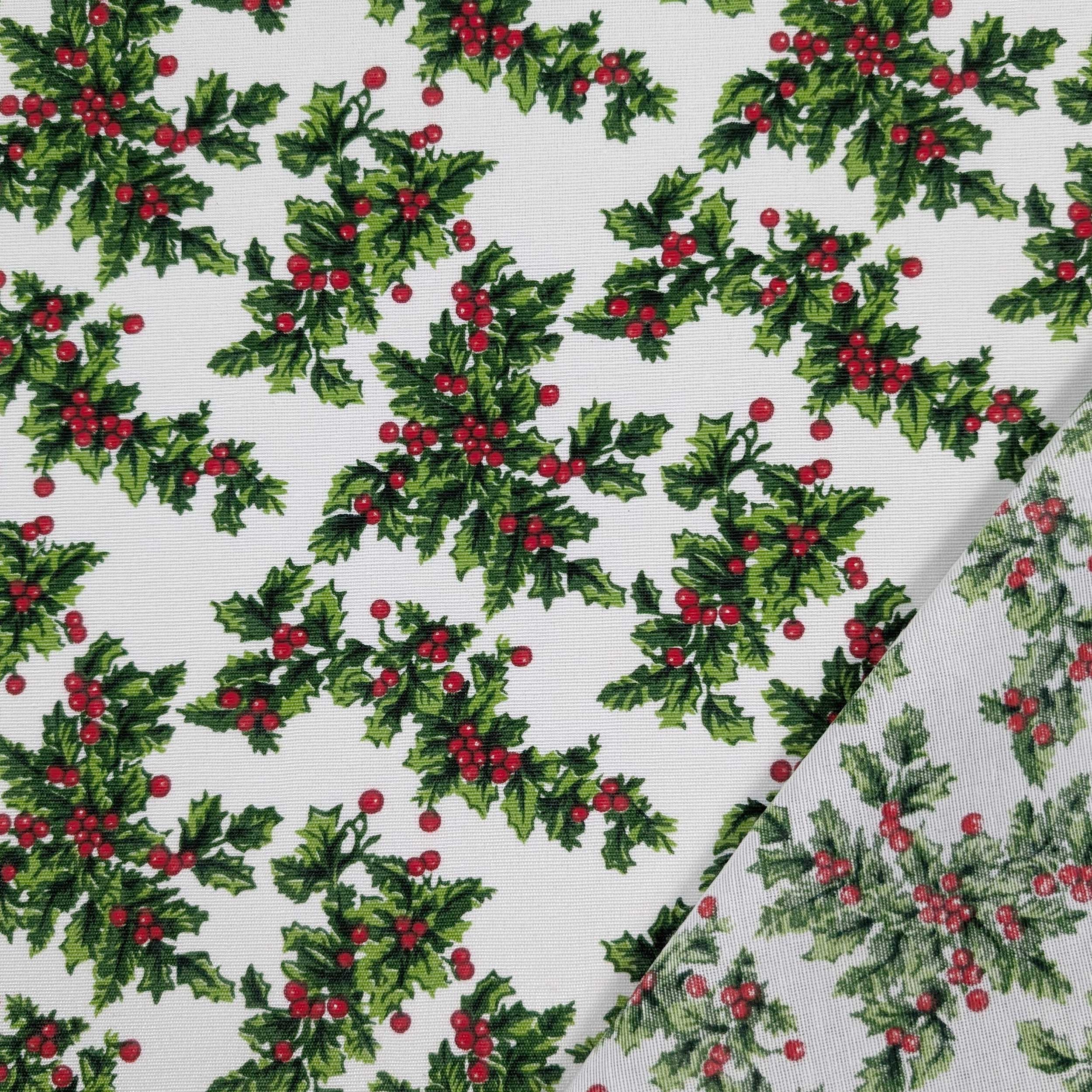 Panama with Christmas Shamrock Fantasy Image