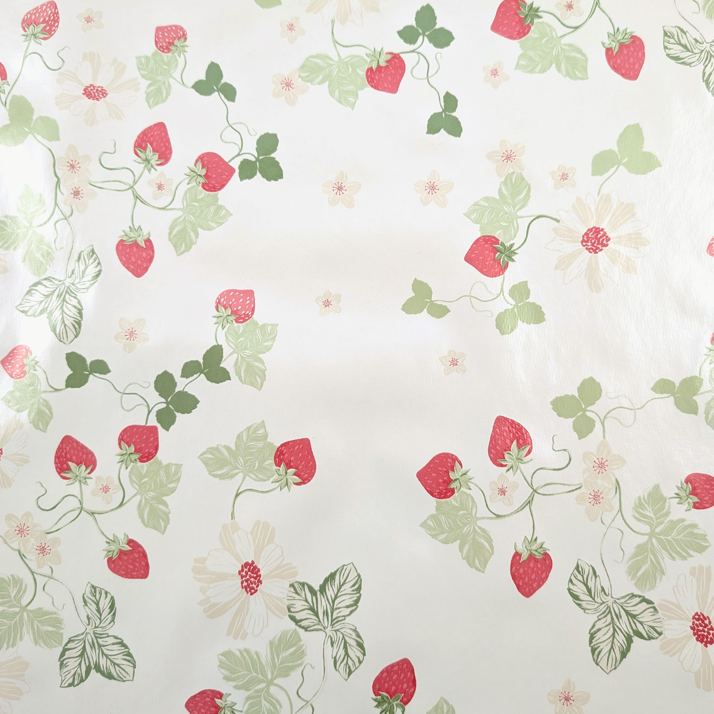 Fabric for Plasticised Tablecloth Strawberries Image