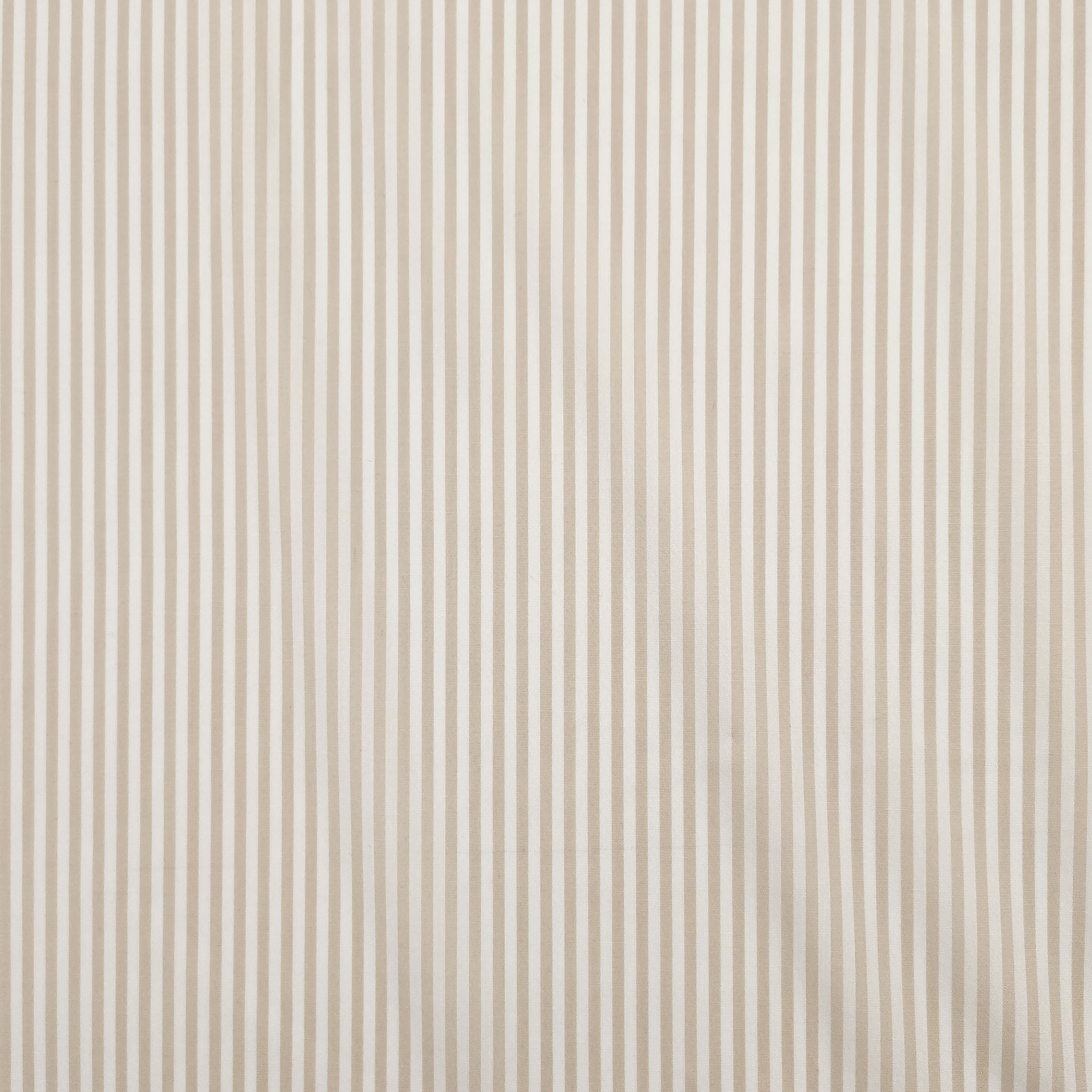 Cotton for Shirts Stripes Beige