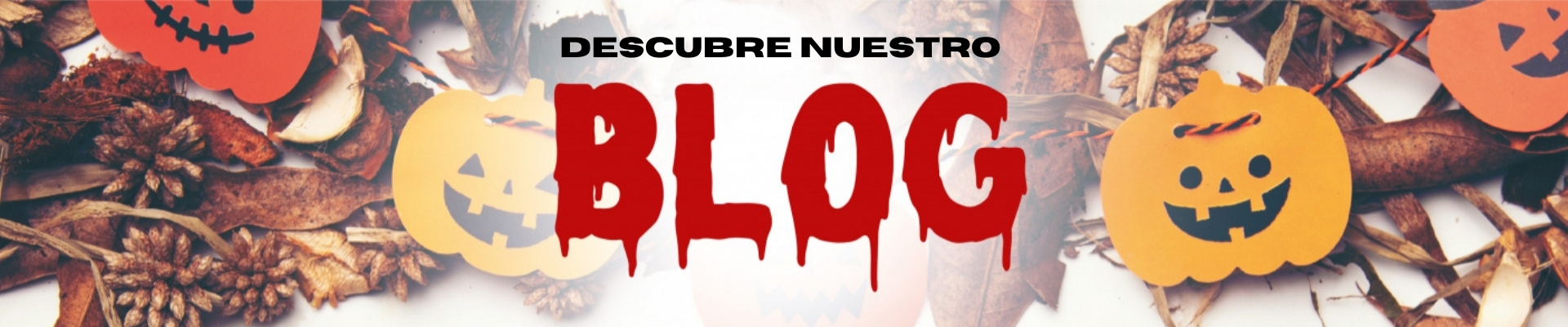 descubre nuestro blog