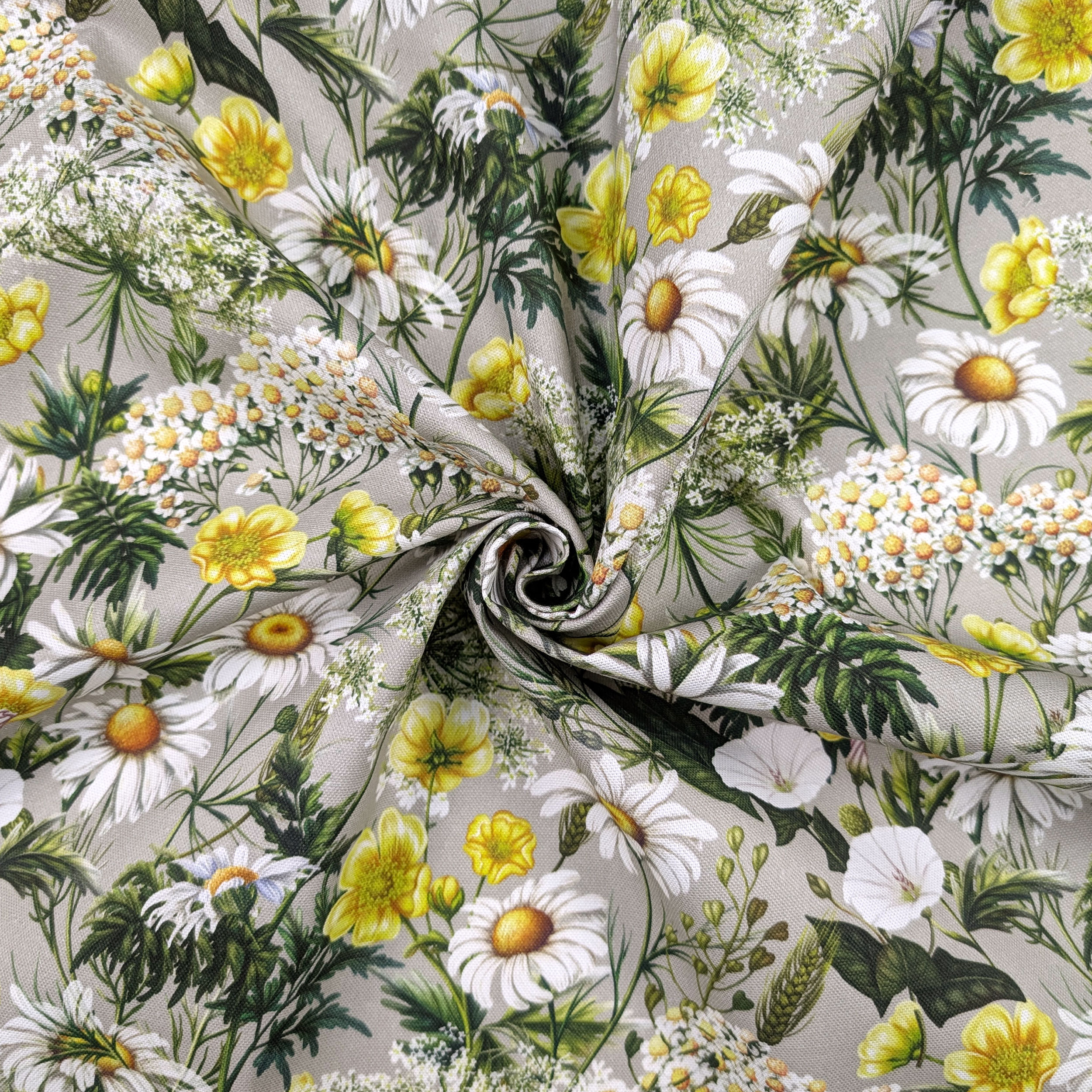 Panama Daisies and Spring Flowers Image