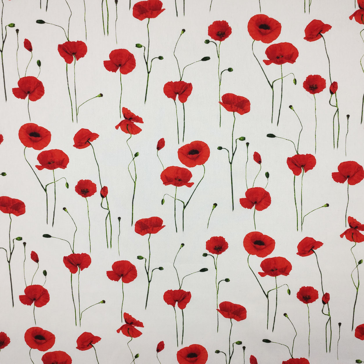 Panama Fabric Cotton Mix Poppies White Background Image