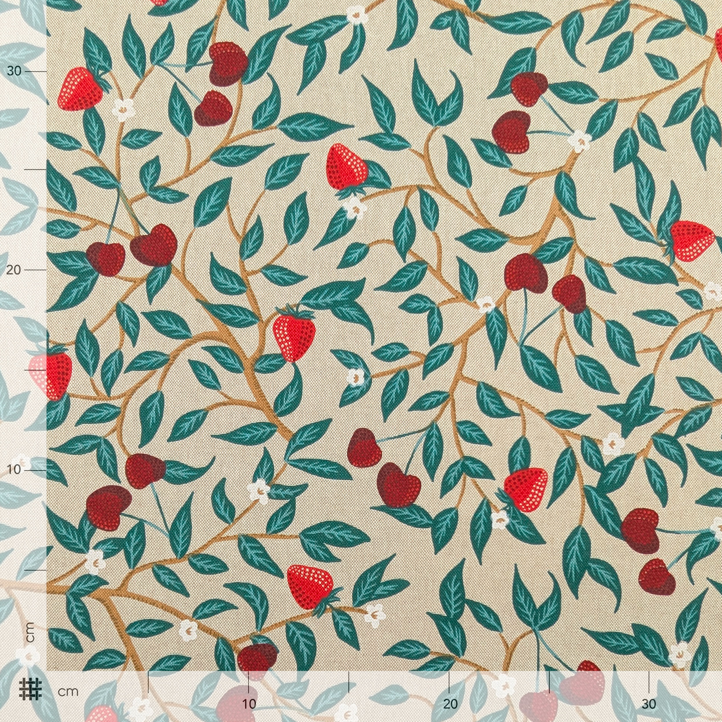 Strawberry and Cherry Panama Fabric Image