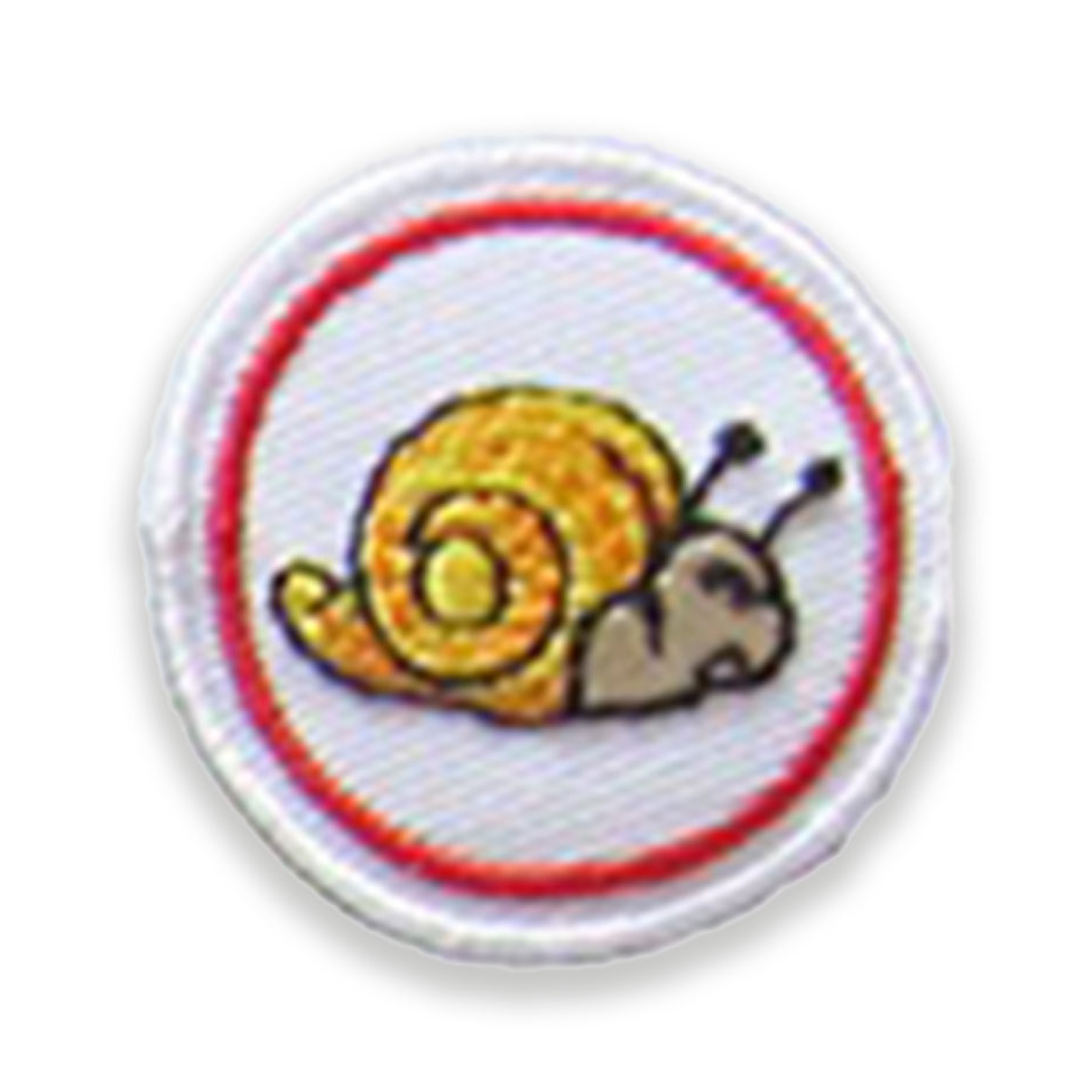 Snail