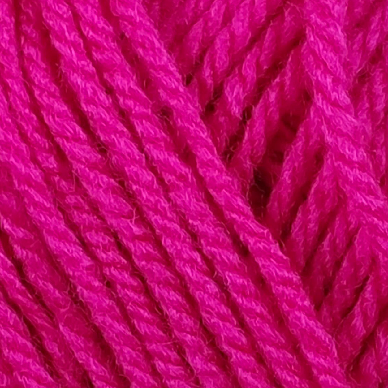 Fuchsia - 1585