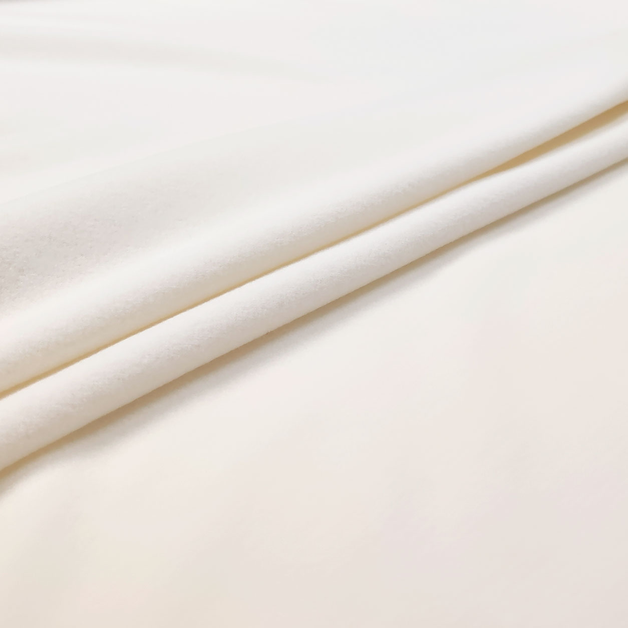 Polar Fleece  Image