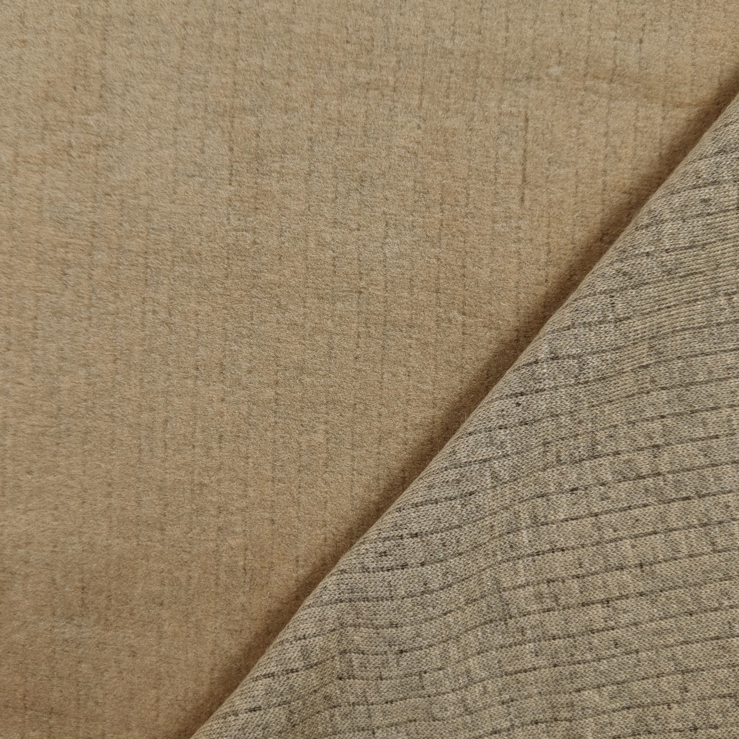 Canetto Coat Biscotto Solid Colour Image