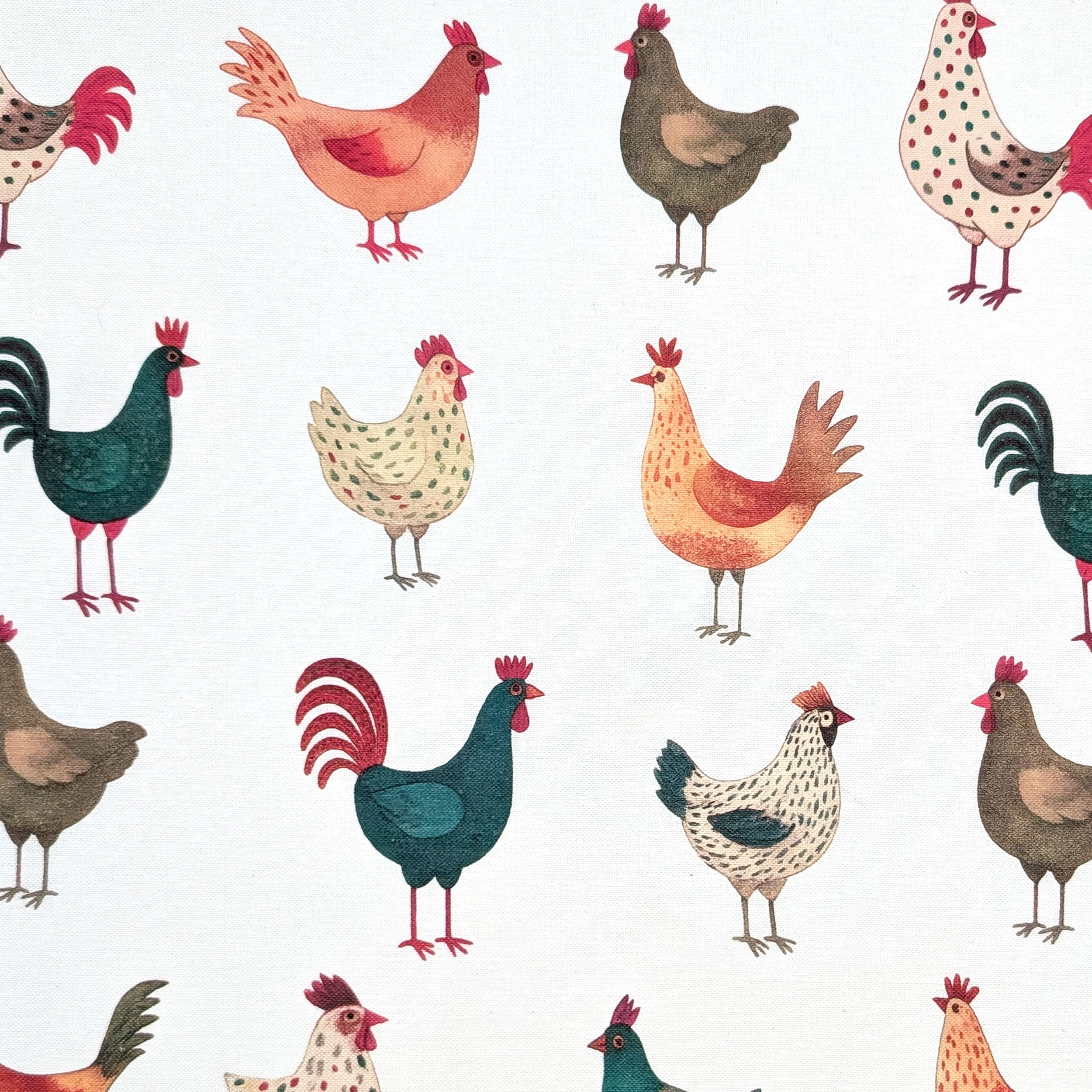 Panama Pure Cotton White Hens Image