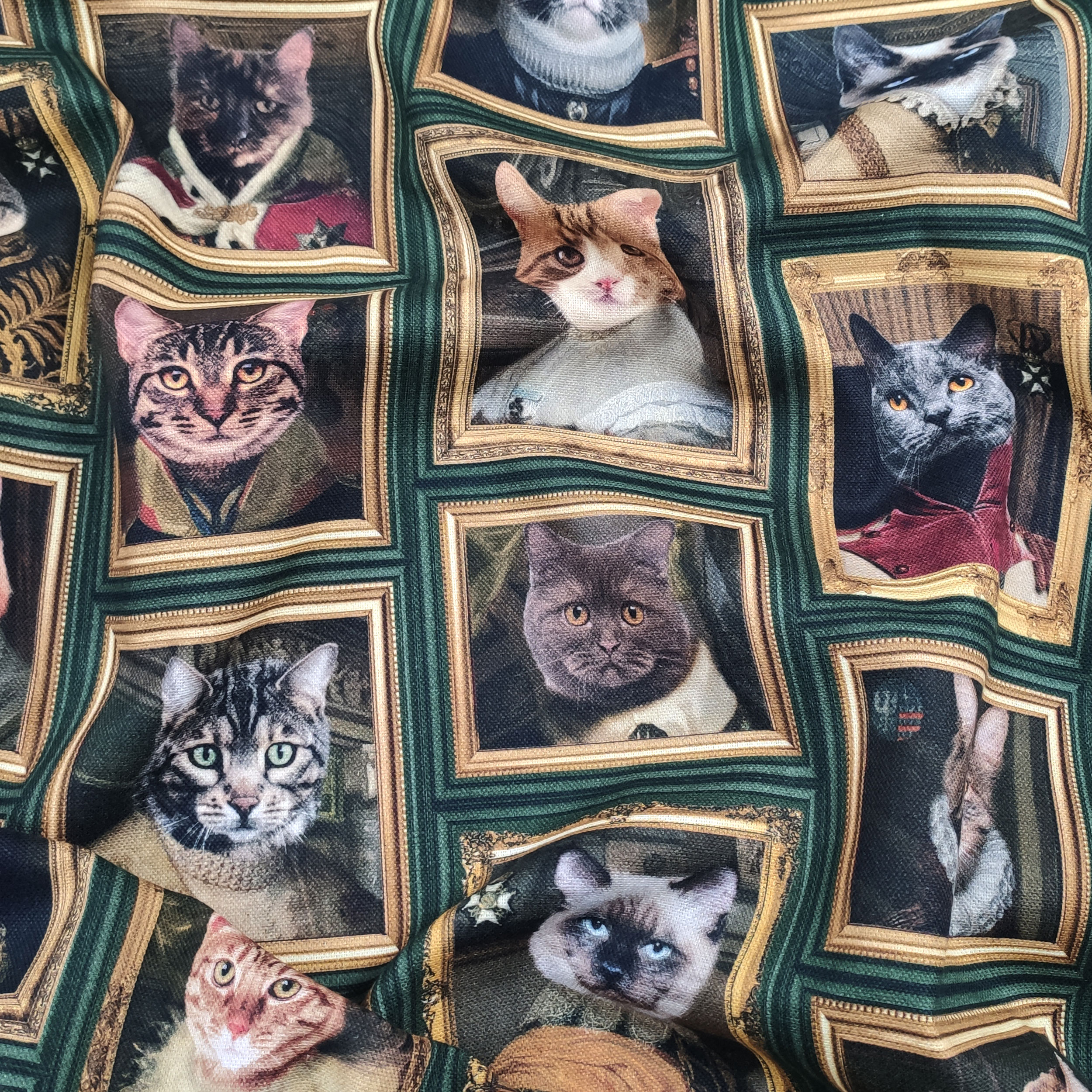 Tela cuadrada de algodón de Panamá con gatos