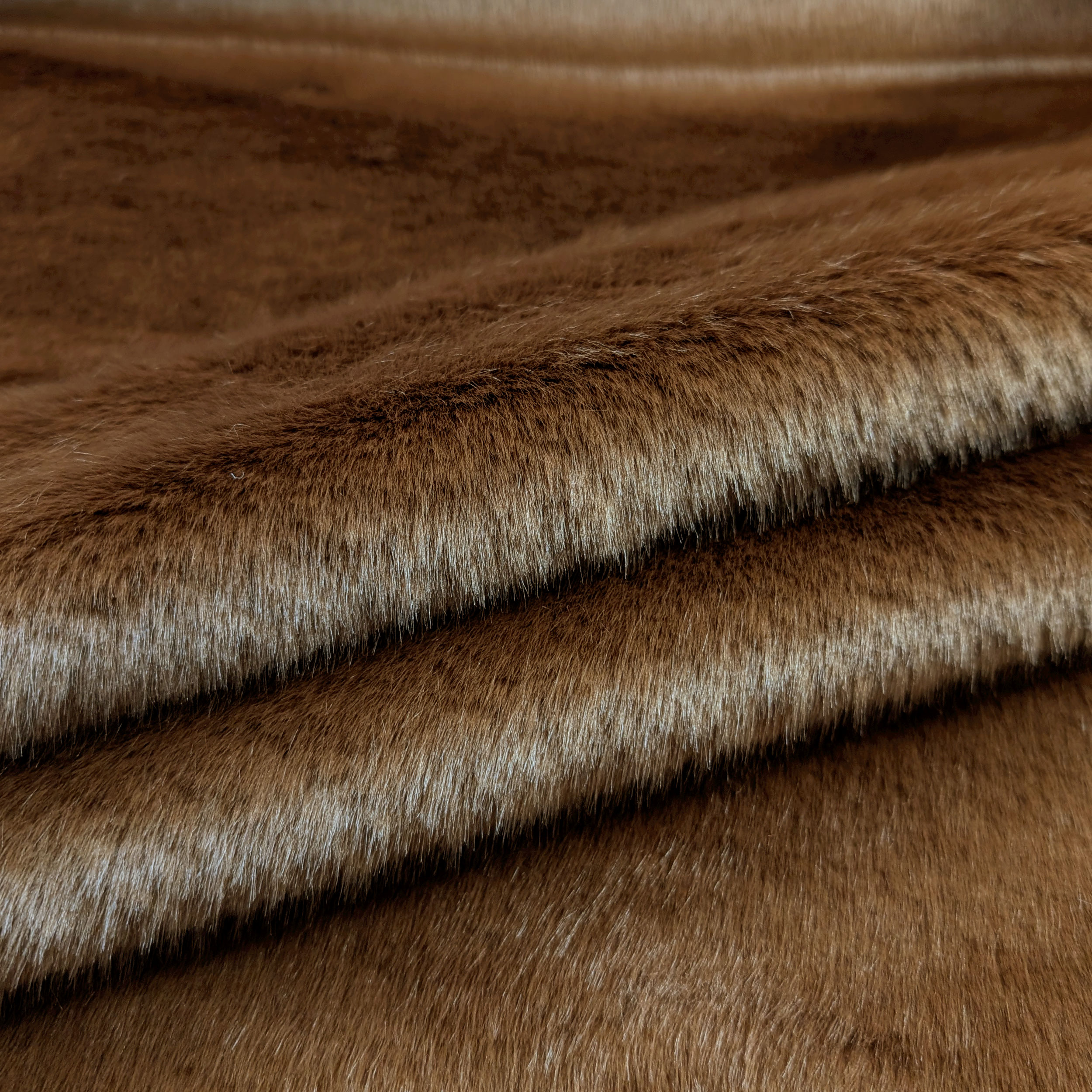 Biscuit Heavy Fur Image