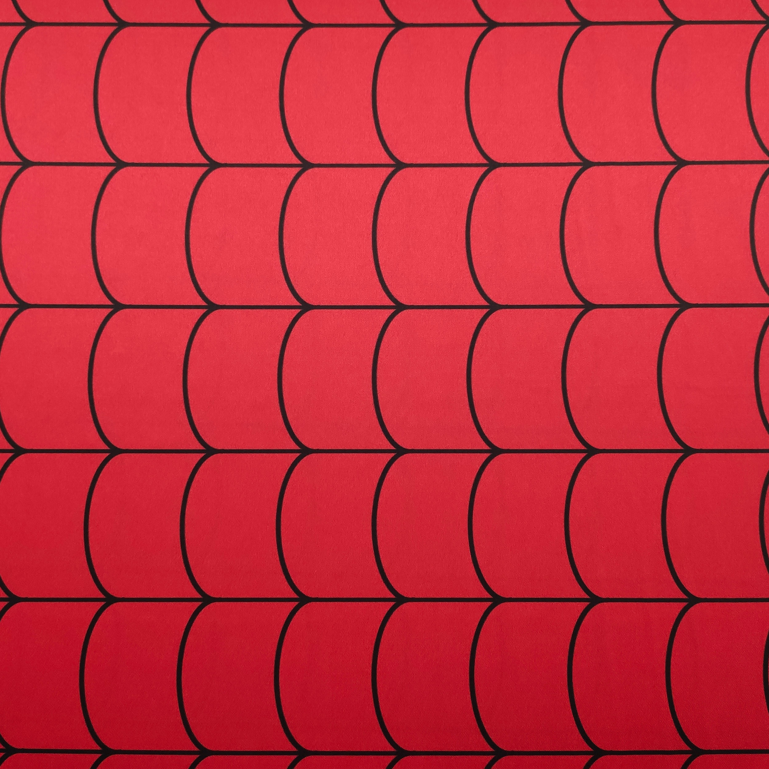 Maglina Spinnennetz Hintergrund Rot