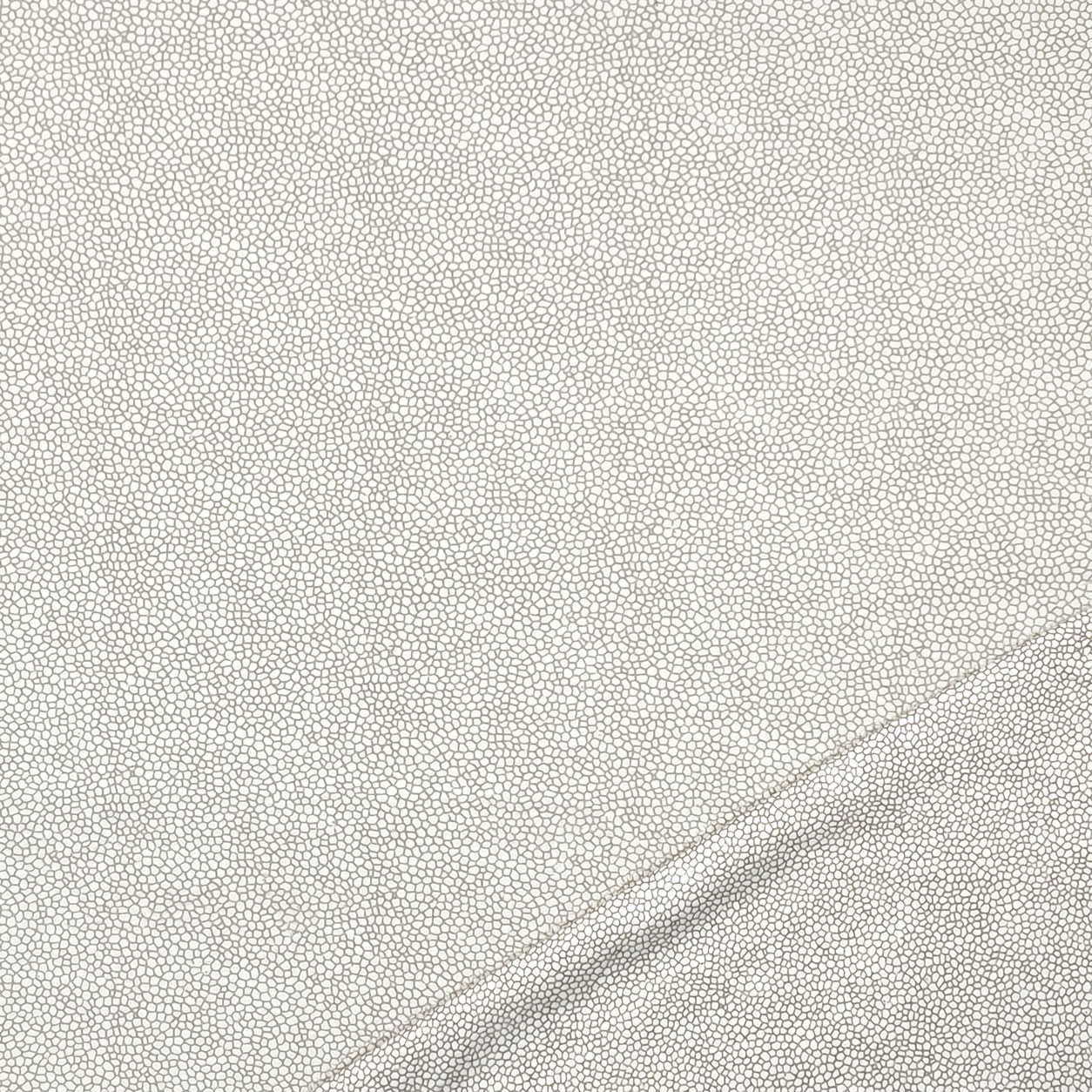 Drap de flanelle Sassolini Tortora