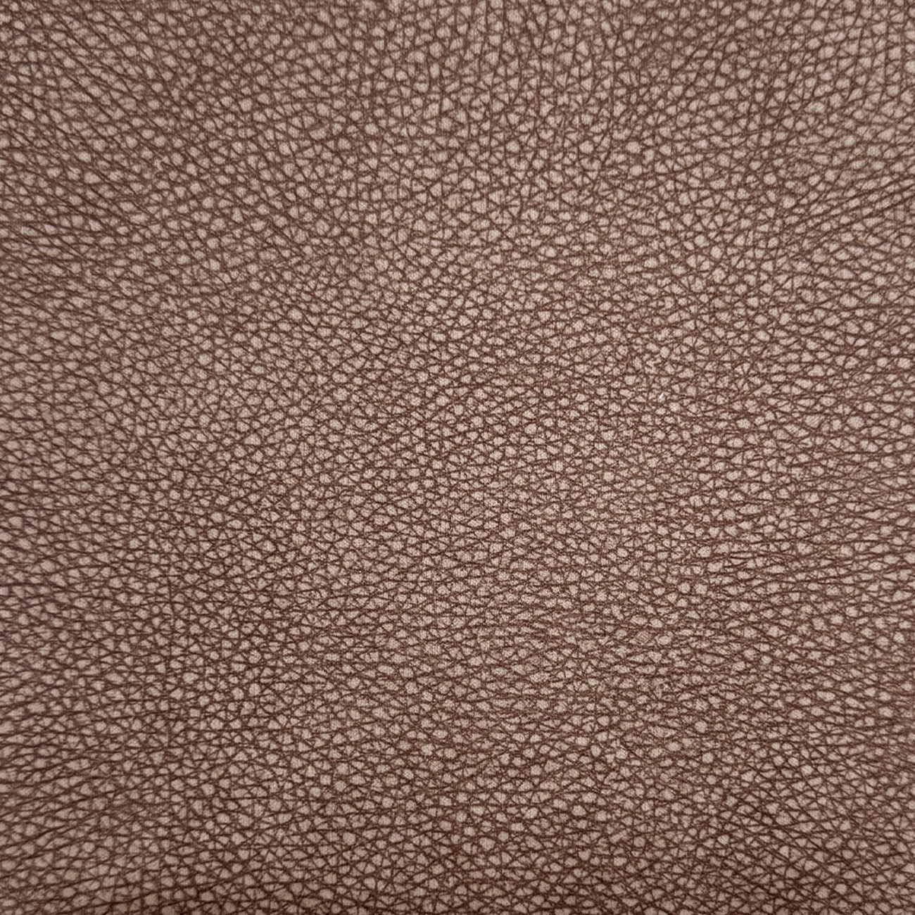 Lino - 03