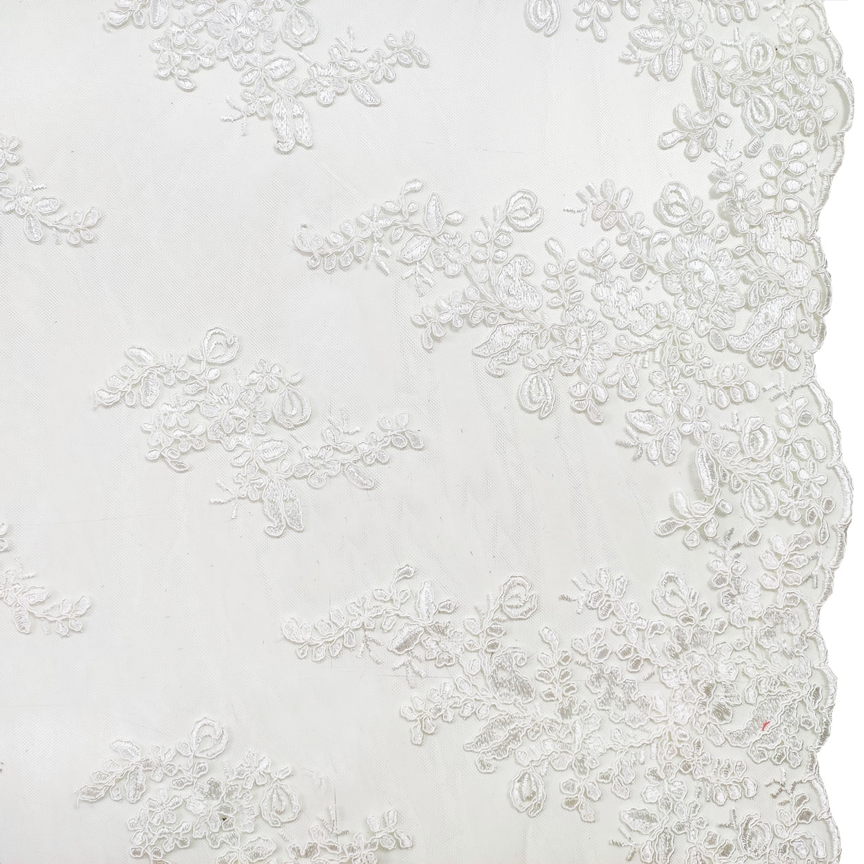 Double Edge Scalloped Lace Image