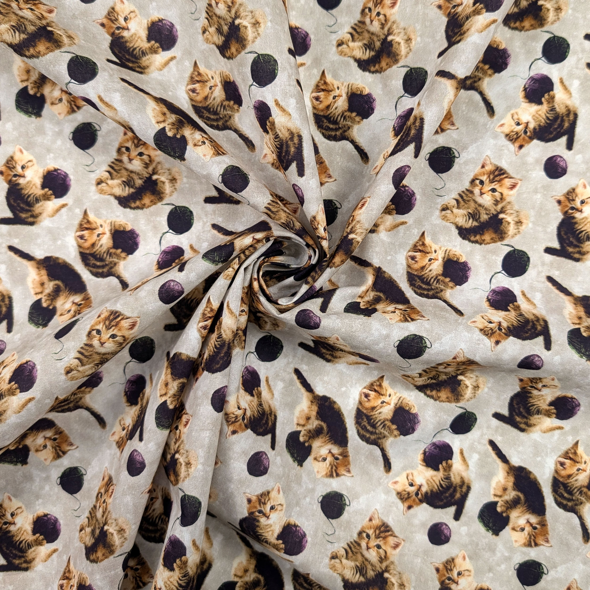 Cotton Fantasy Kittens and Ruffles Image