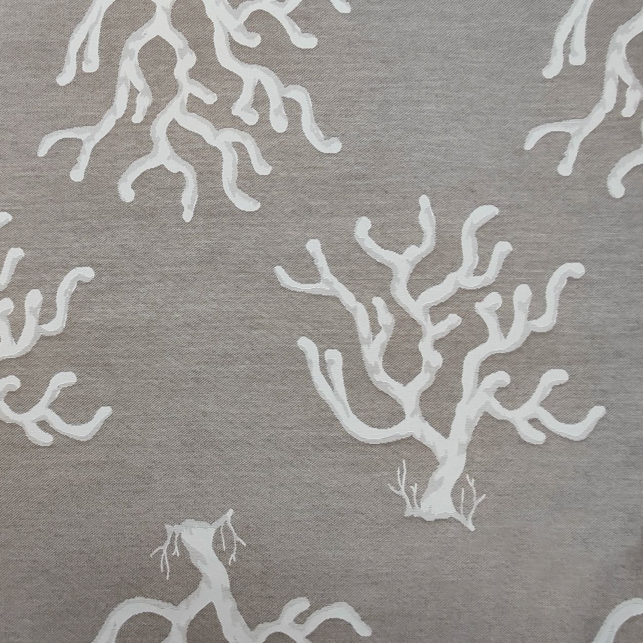 Jacquard fabric Double Corals Pearl and Beige H 280 cm
