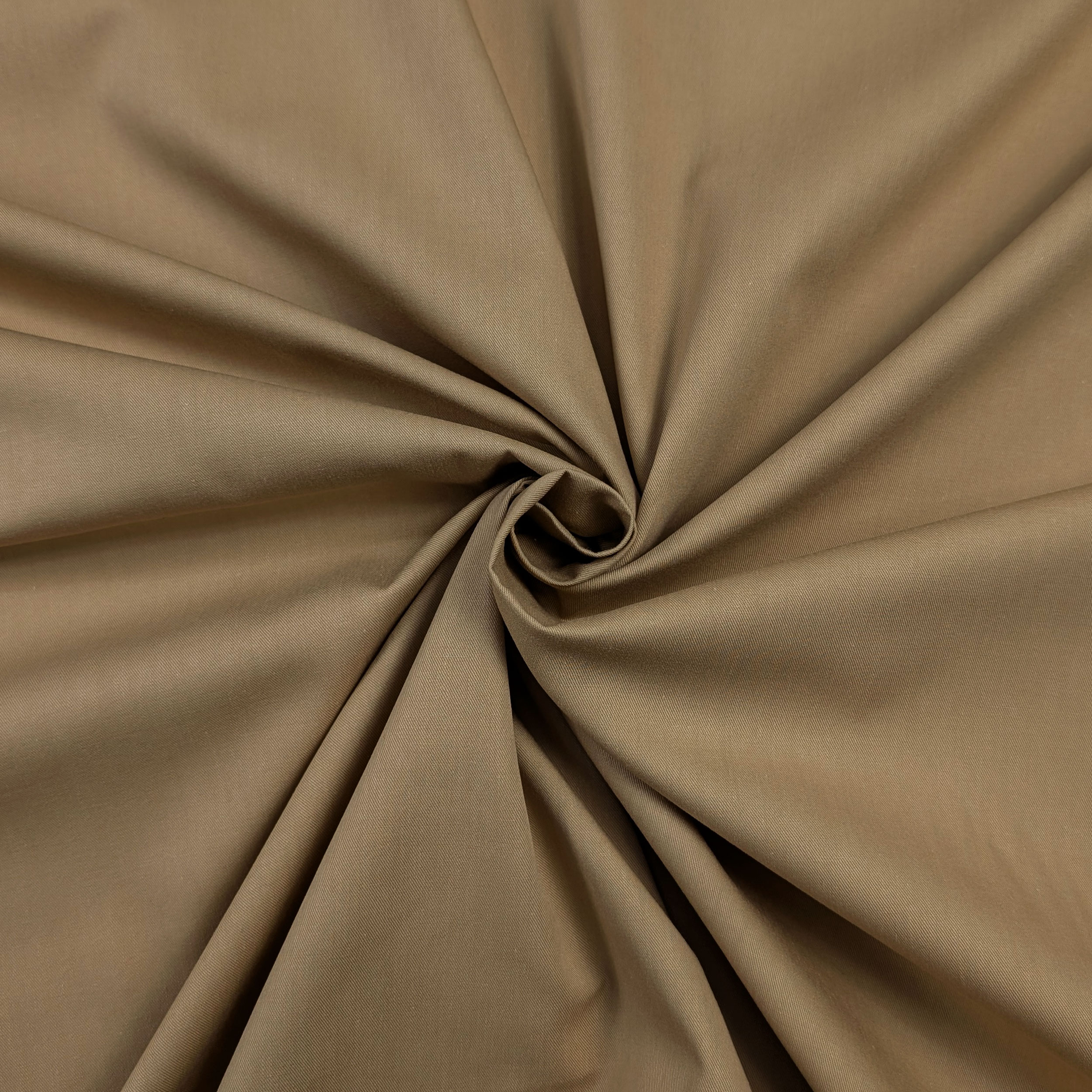 Beige cotton Image