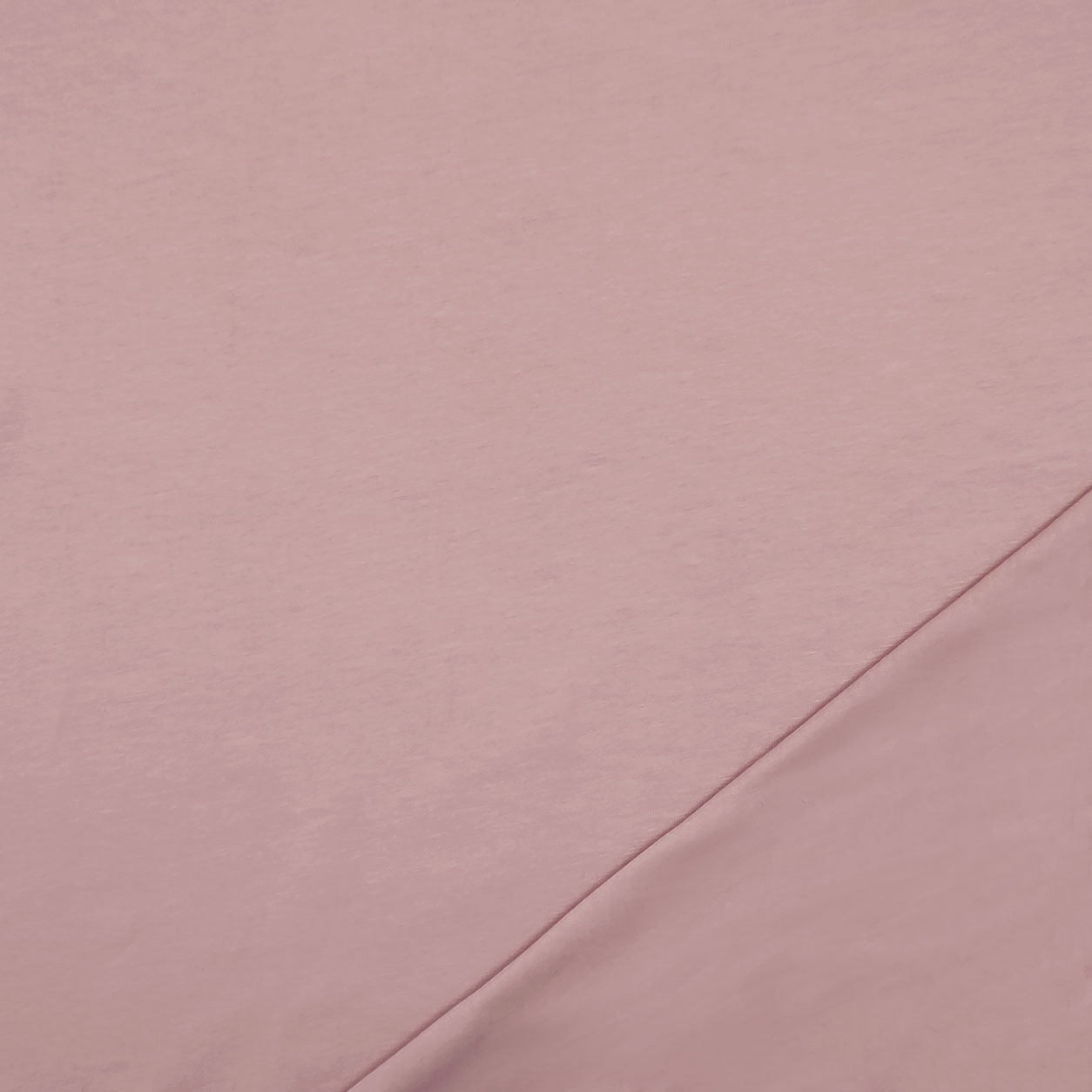 Unicolour Cotton Jersey Image