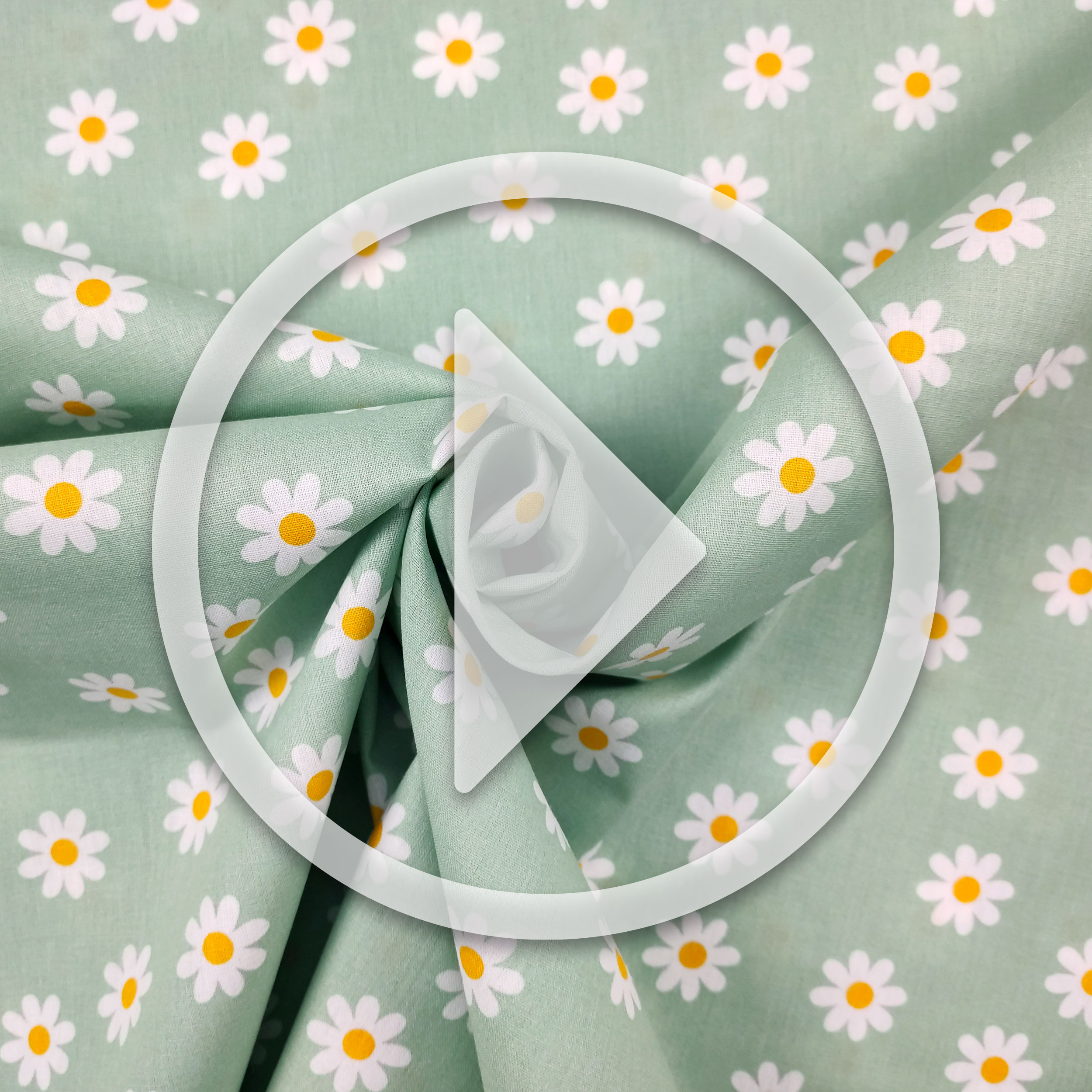 Cotton Poplin Daisies Mint Background Image