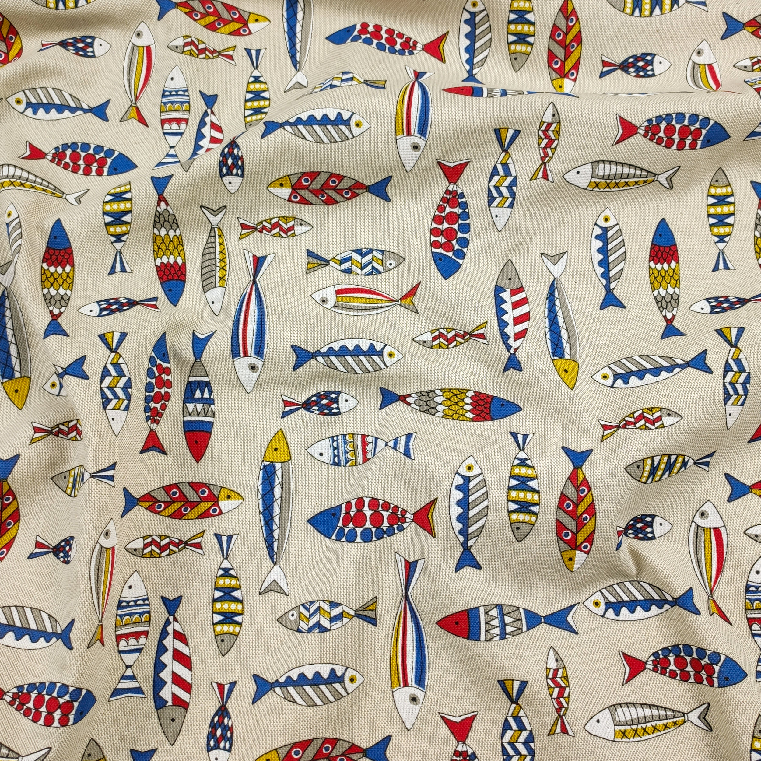 Panama Multicolour Fishes