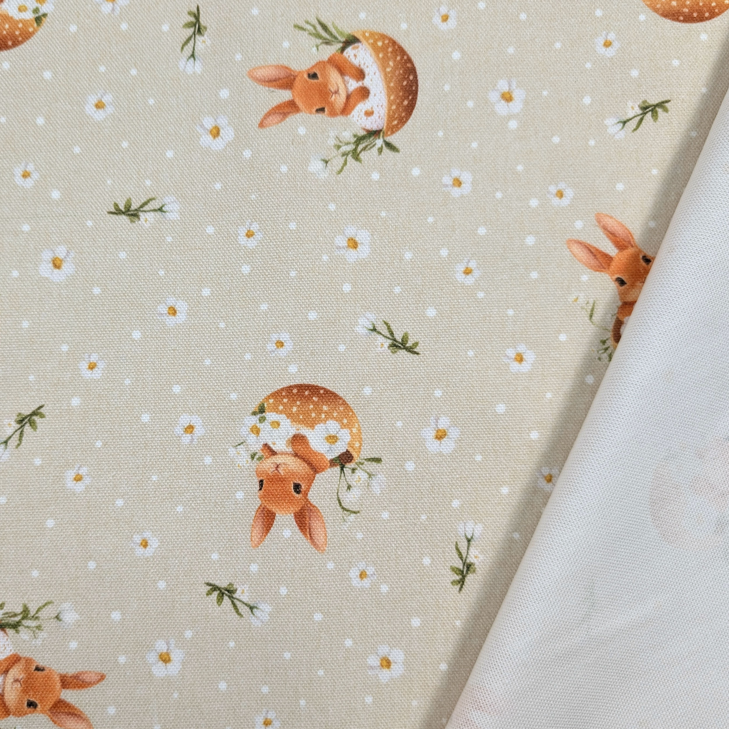 Panama Daisies and Easter Bunnies Image