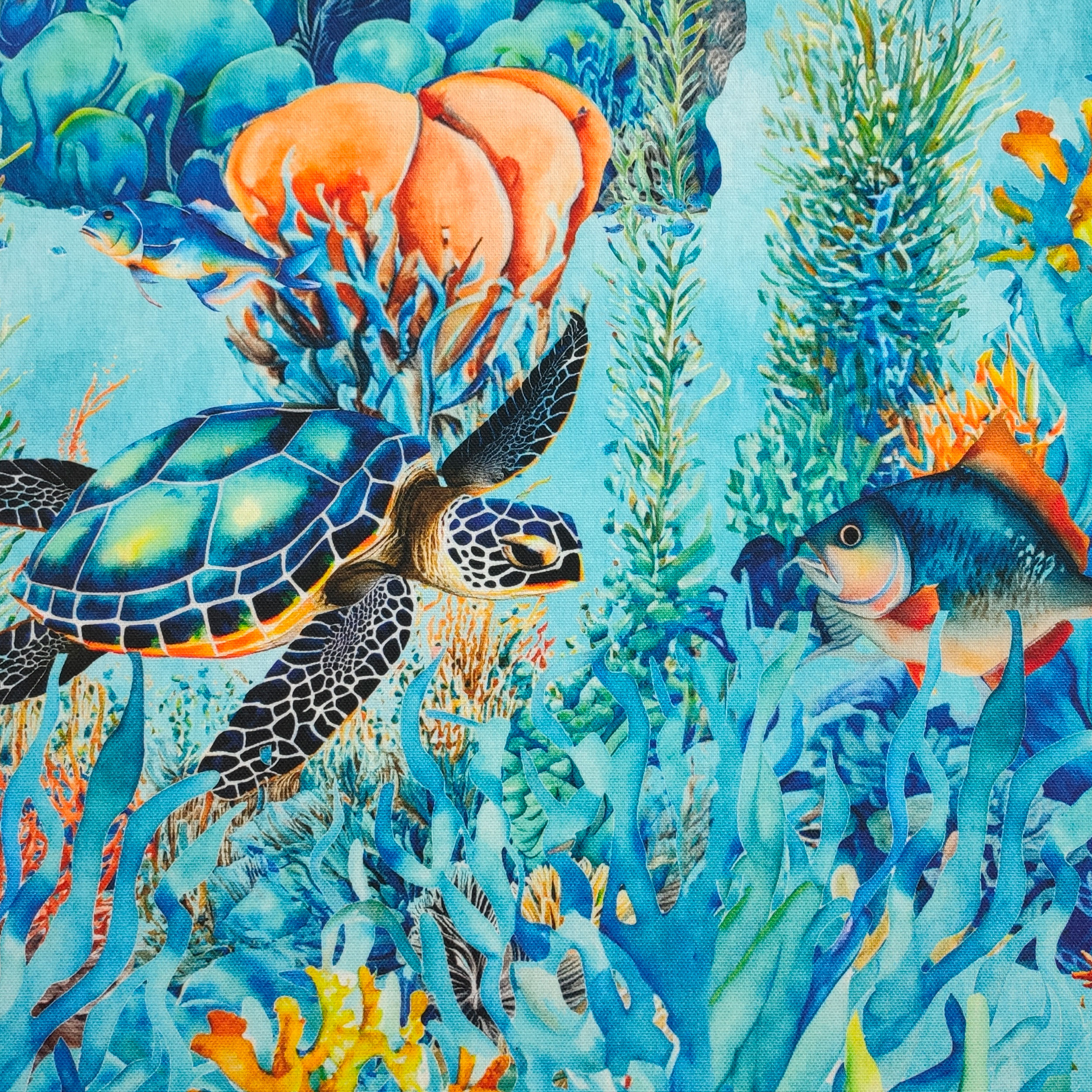 Tissu Coral Reef Panama Image