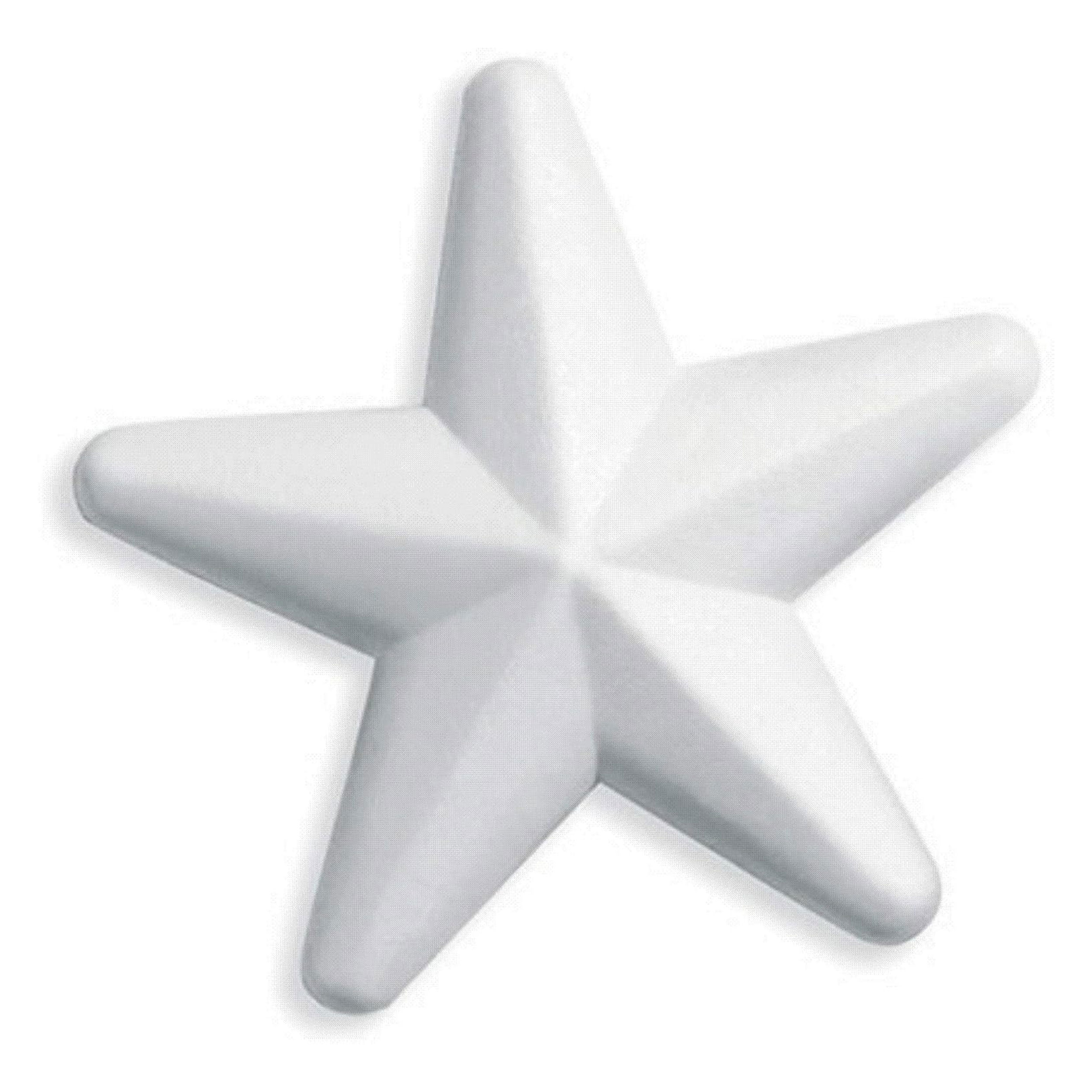 Large Polystyrene Star Image