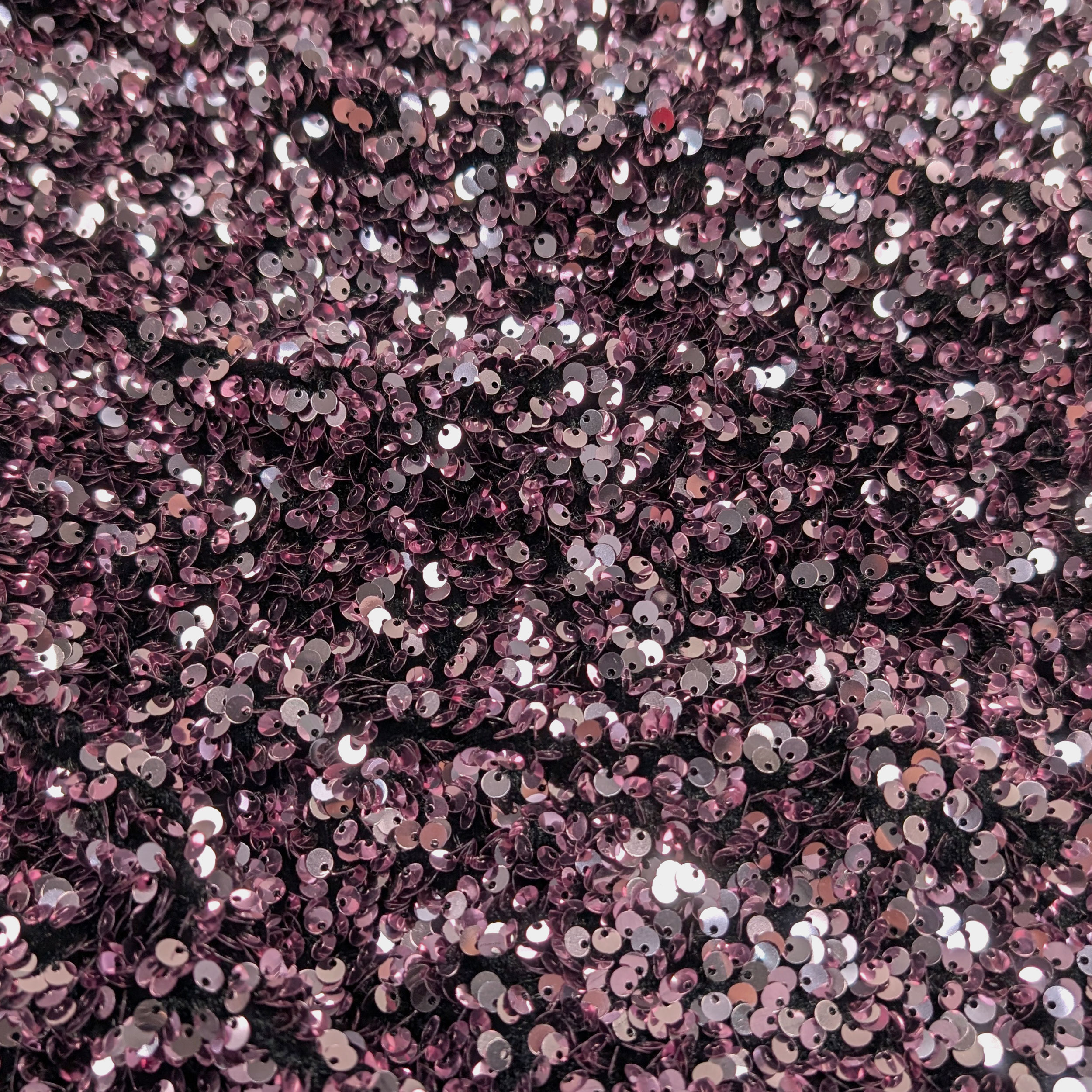 Dressmaking Sequins on Velvet Image