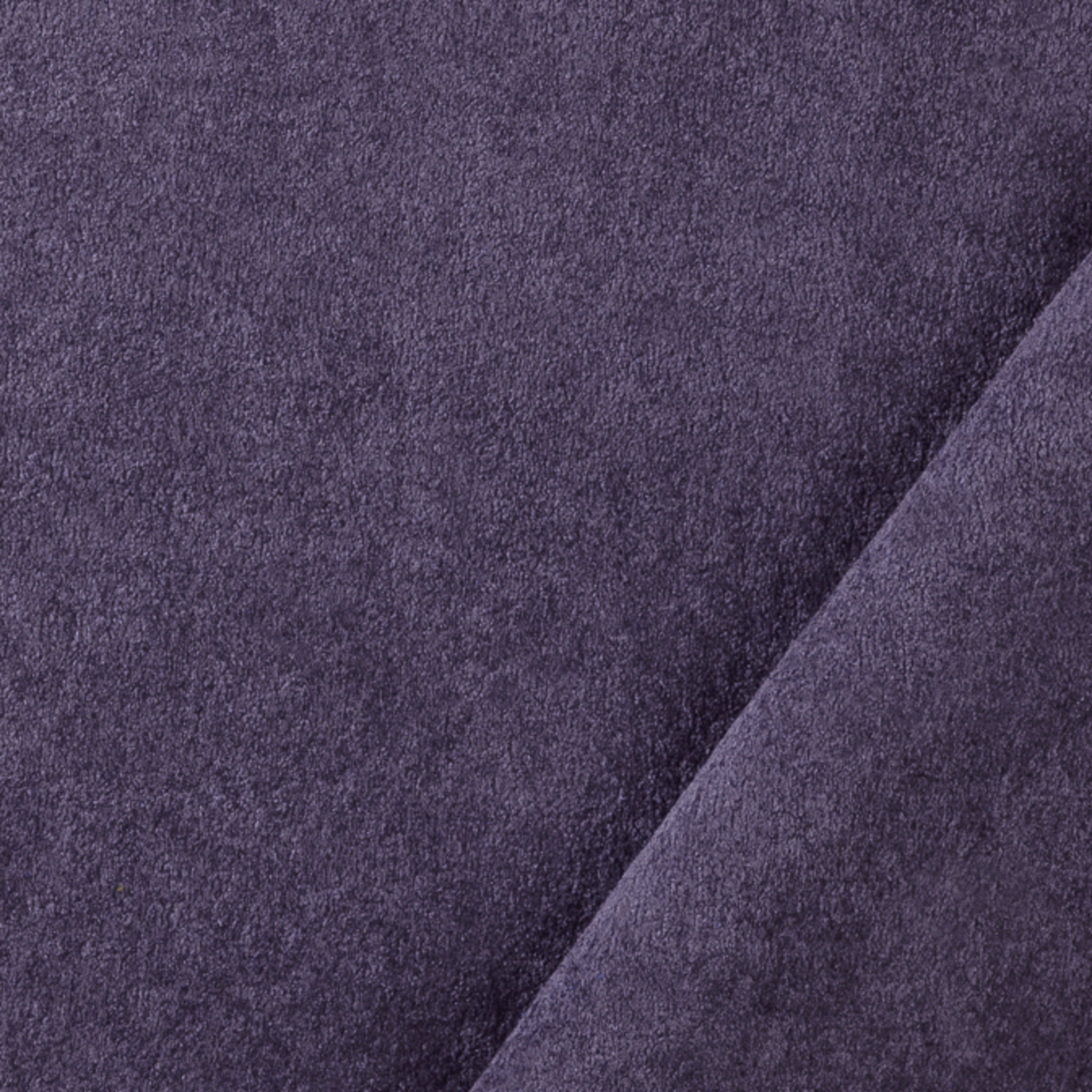 Viola - 14