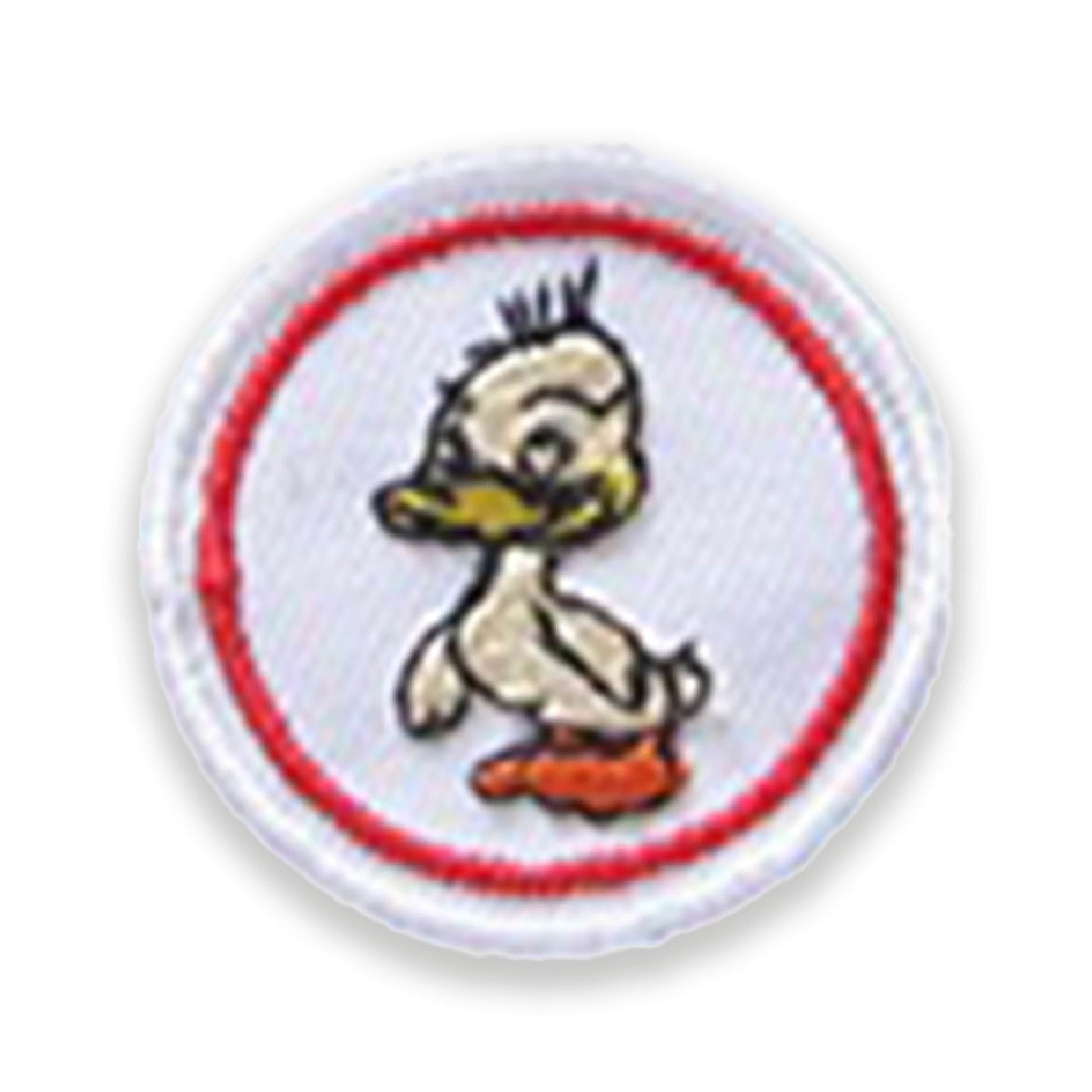 Duck